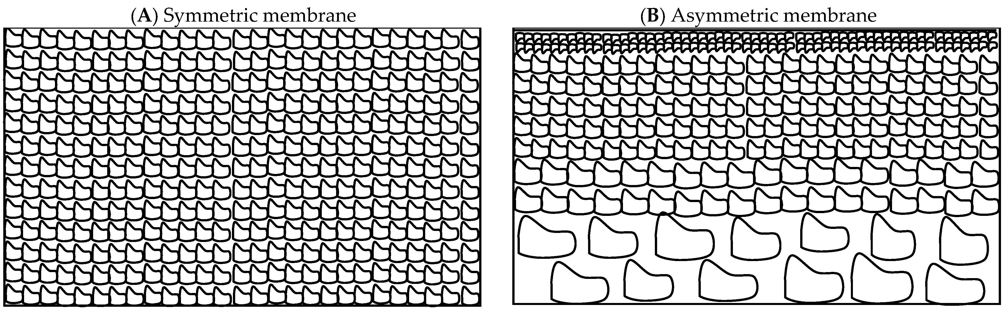 Membranes 15 00112 g001