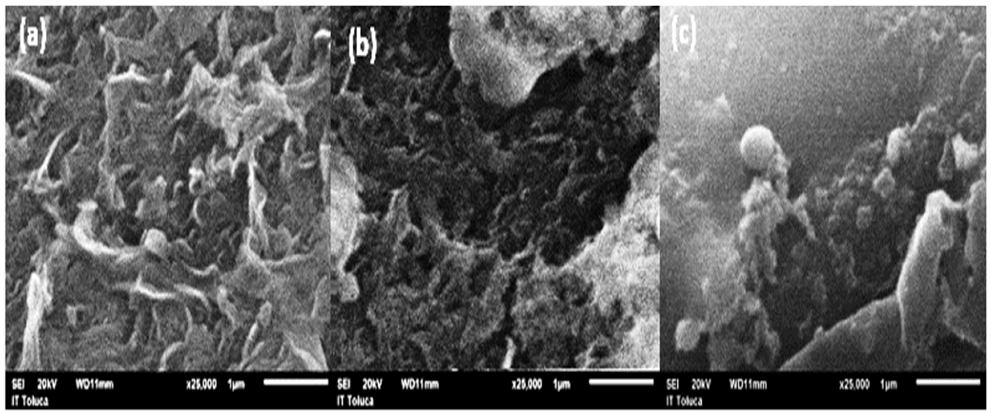 Membranes 15 00116 g004 Membranes 15 00116 g004