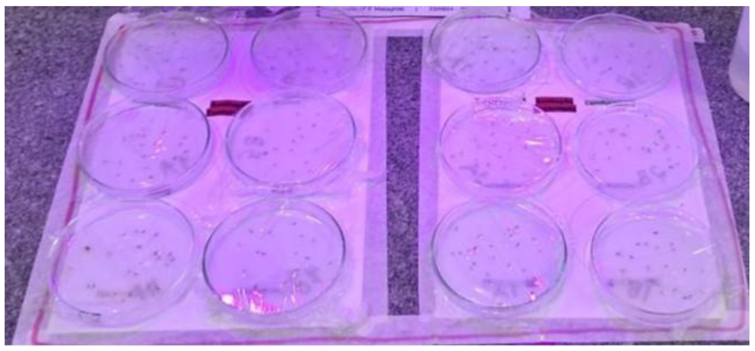 Membranes 15 00127 g005
