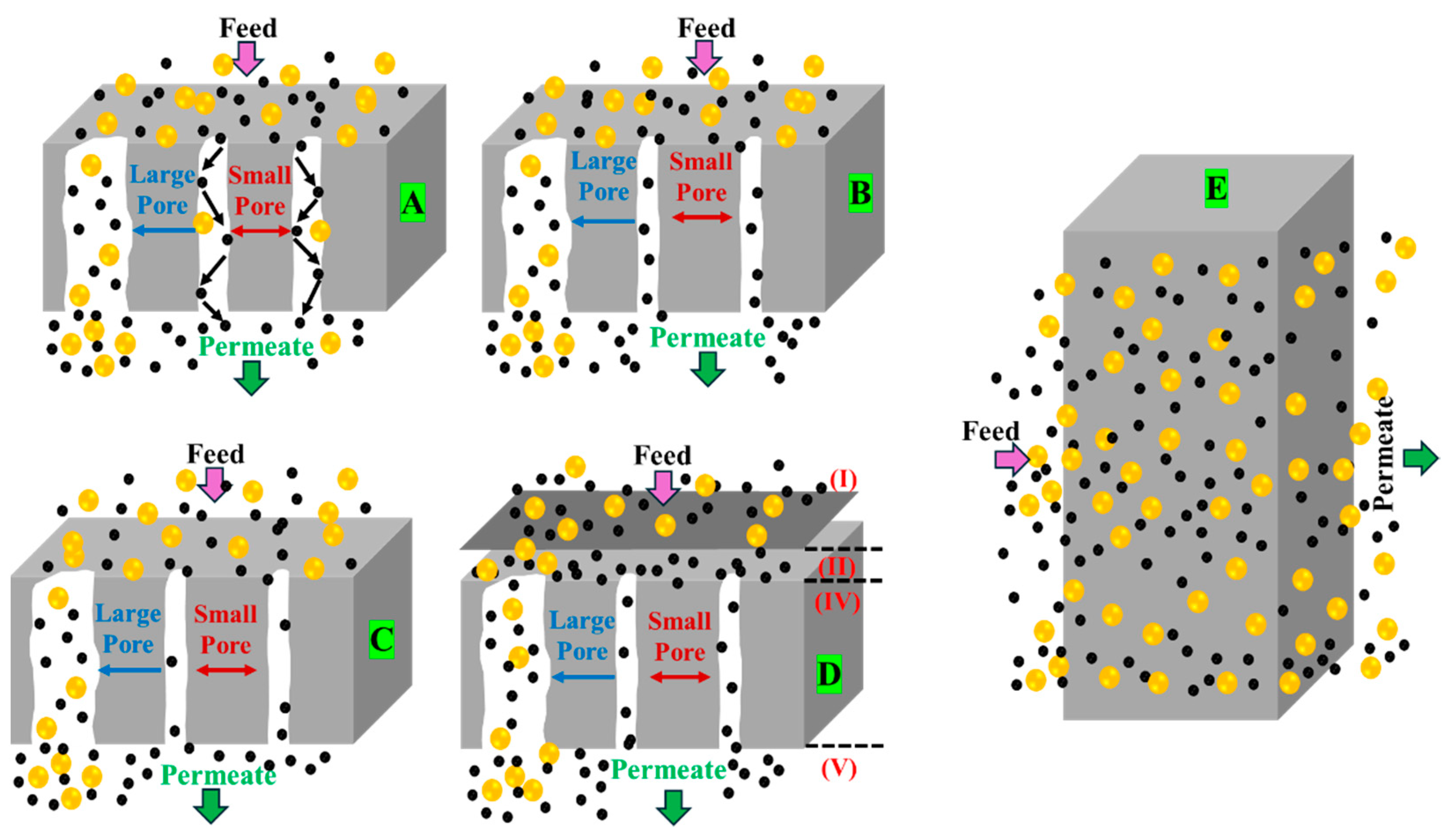 Membranes 15 00138 g001