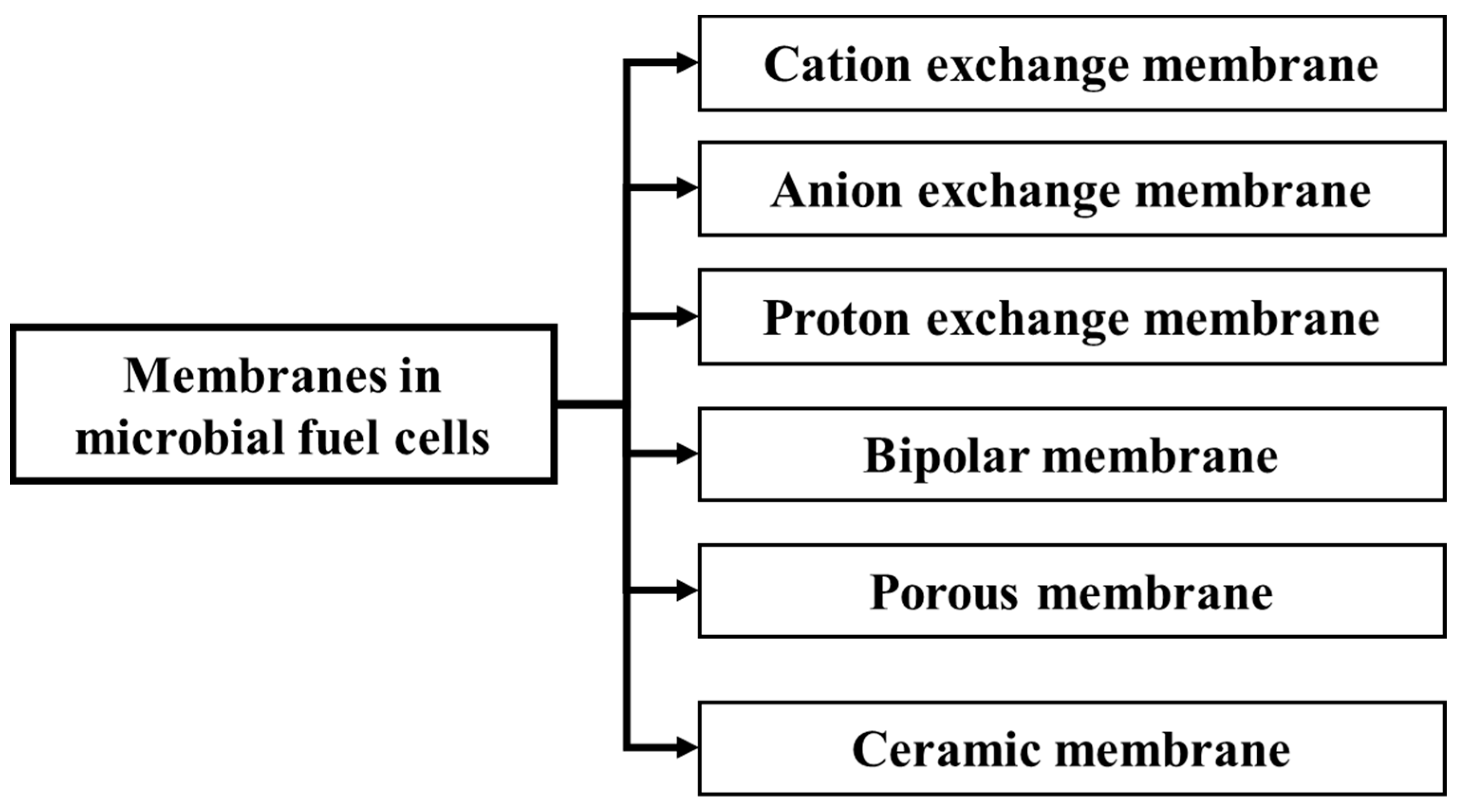 Membranes 15 00138 g010