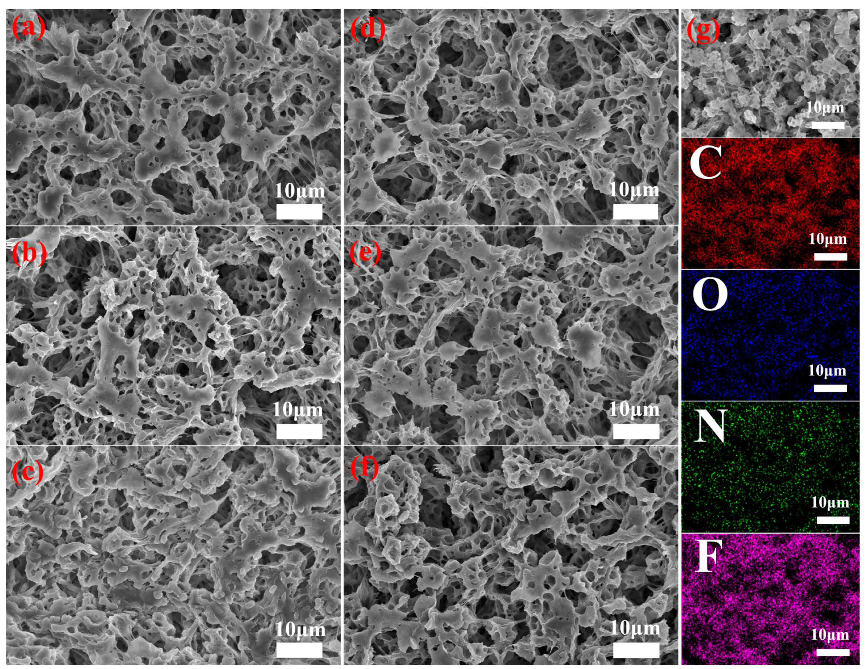 Membranes 15 00155 g002 Membranes 15 00155 g002