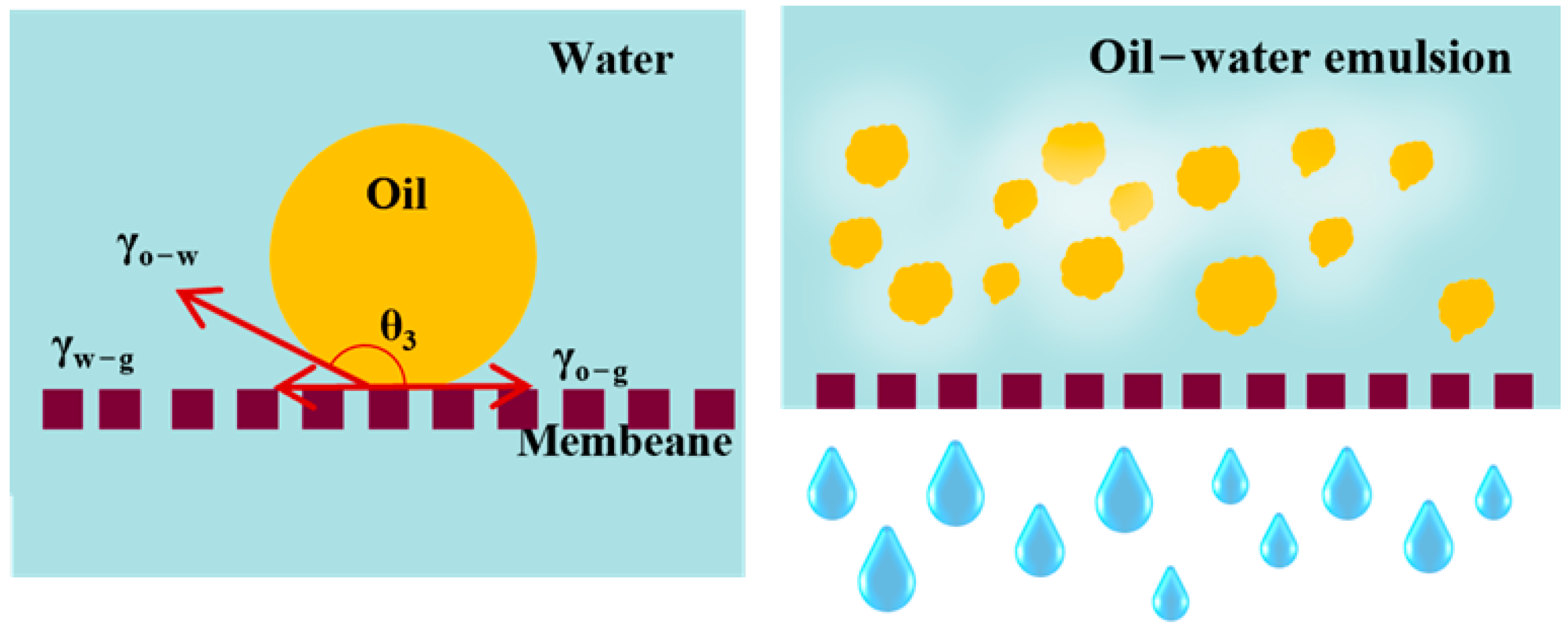 Membranes 15 00155 g011 Membranes 15 00155 g011