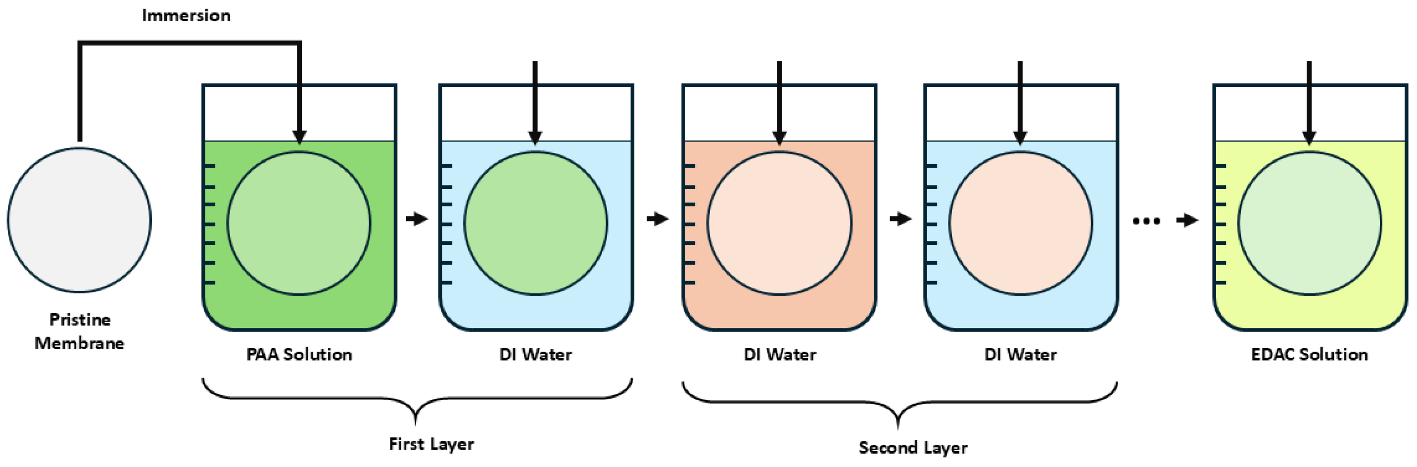 Membranes 15 00172 g001
