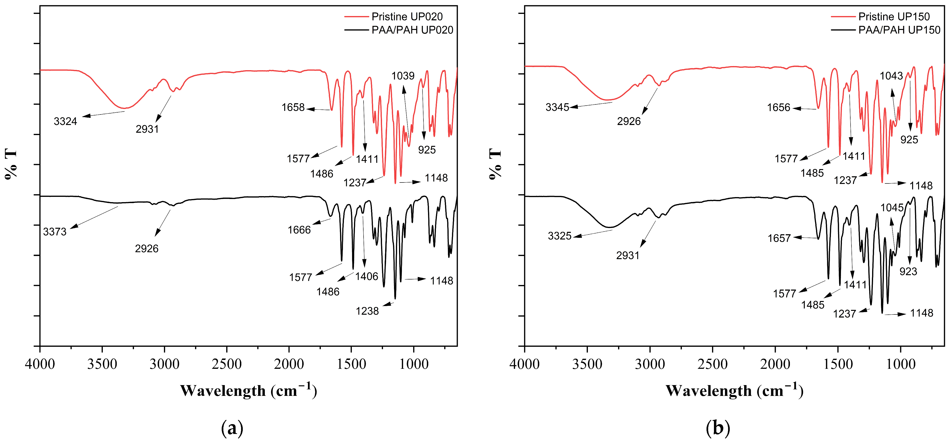 Membranes 15 00172 g003