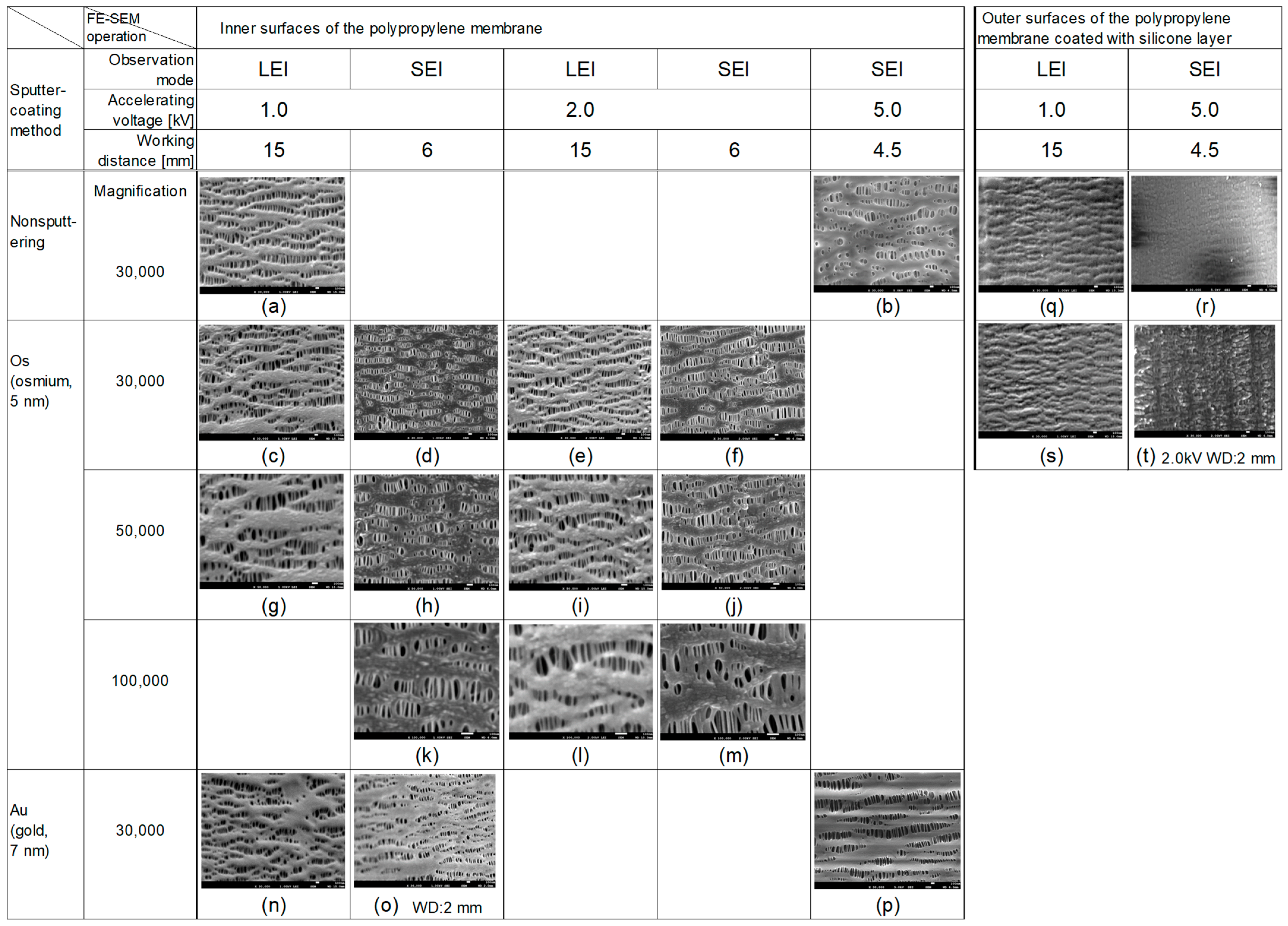 Membranes 15 00174 g001