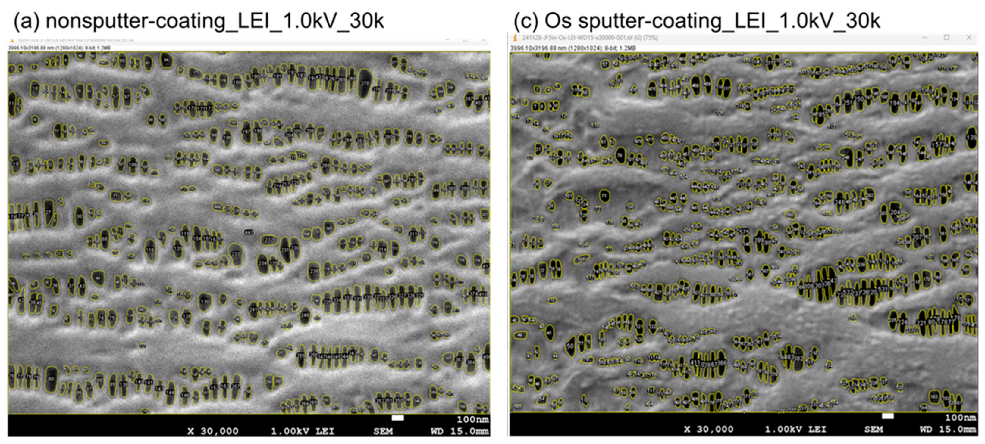 Membranes 15 00174 g003
