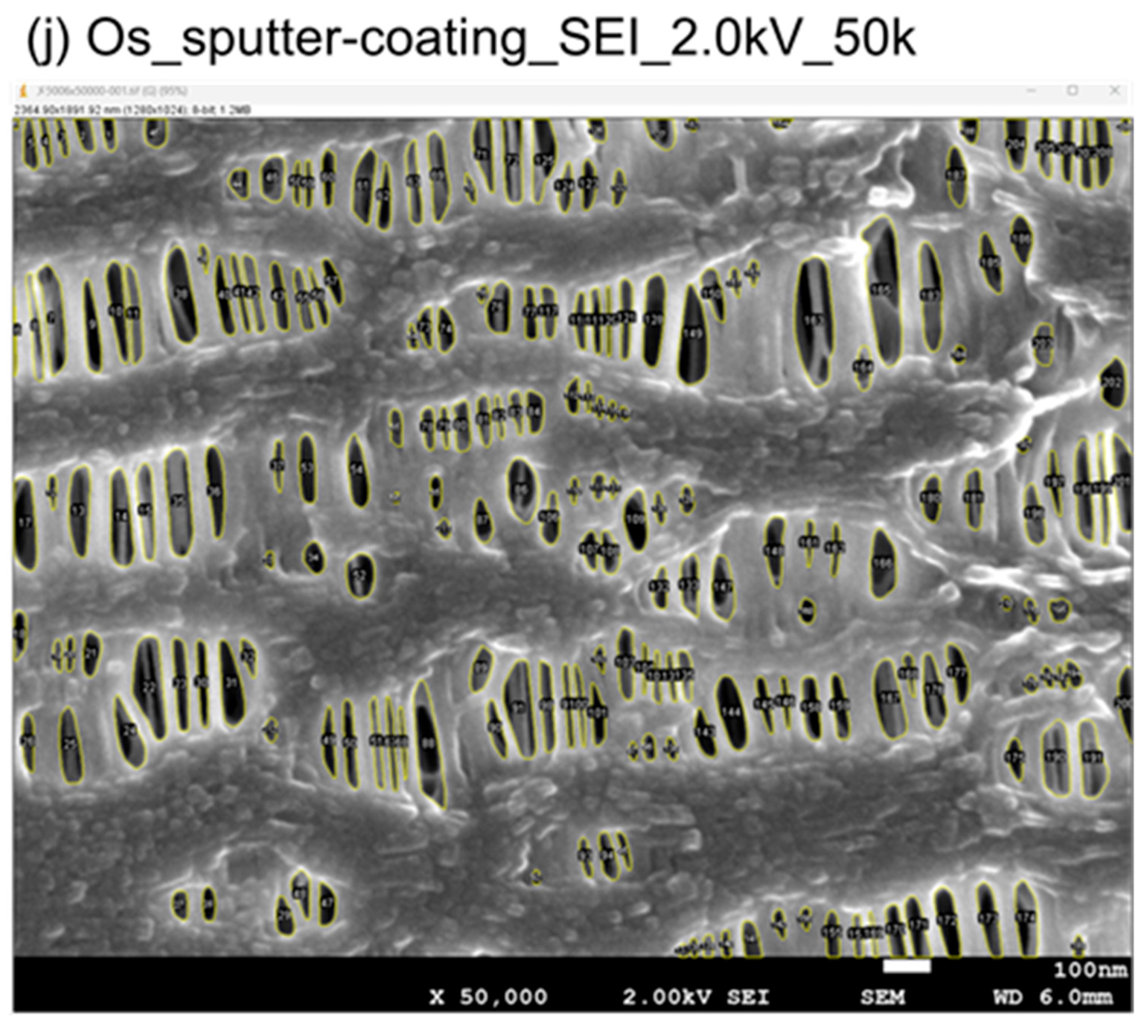 Membranes 15 00174 g006