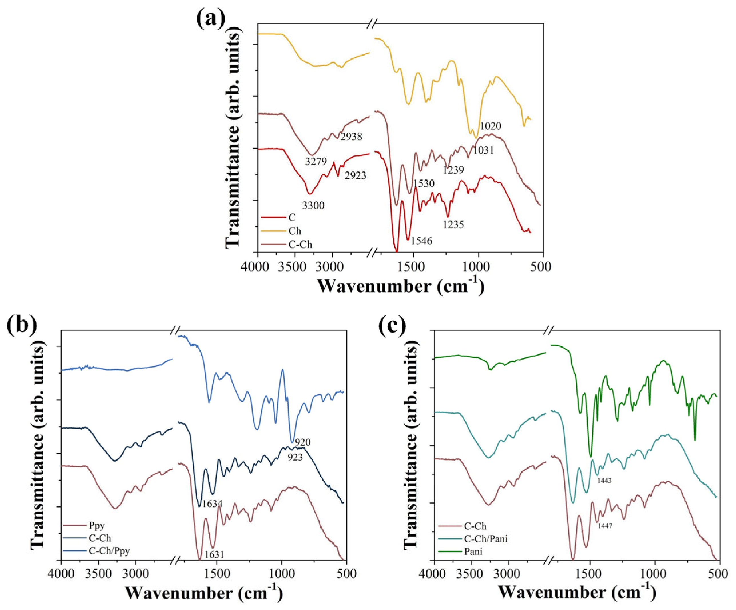 Membranes 15 00177 g001