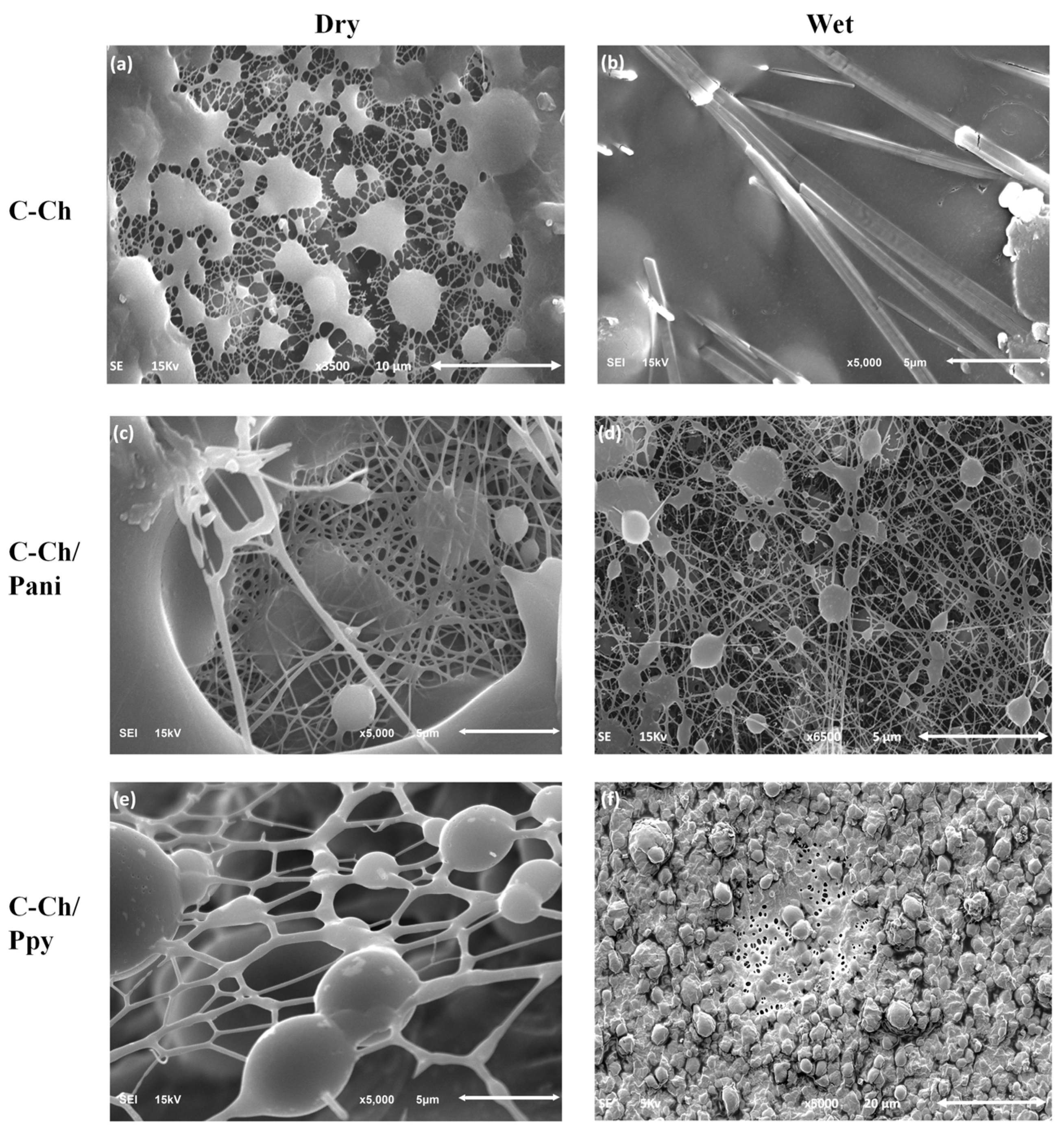 Membranes 15 00177 g002