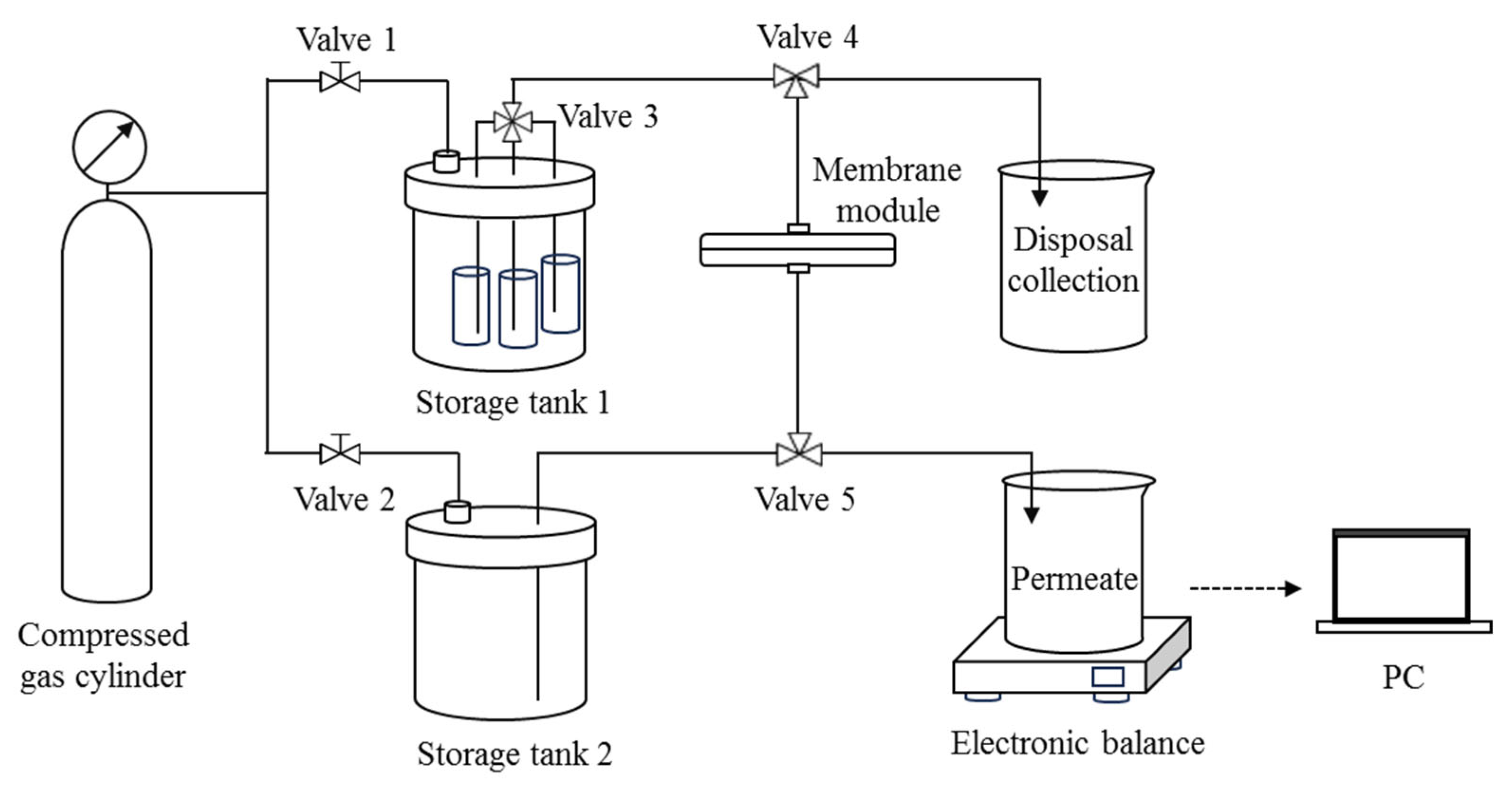 Membranes 15 00195 g001