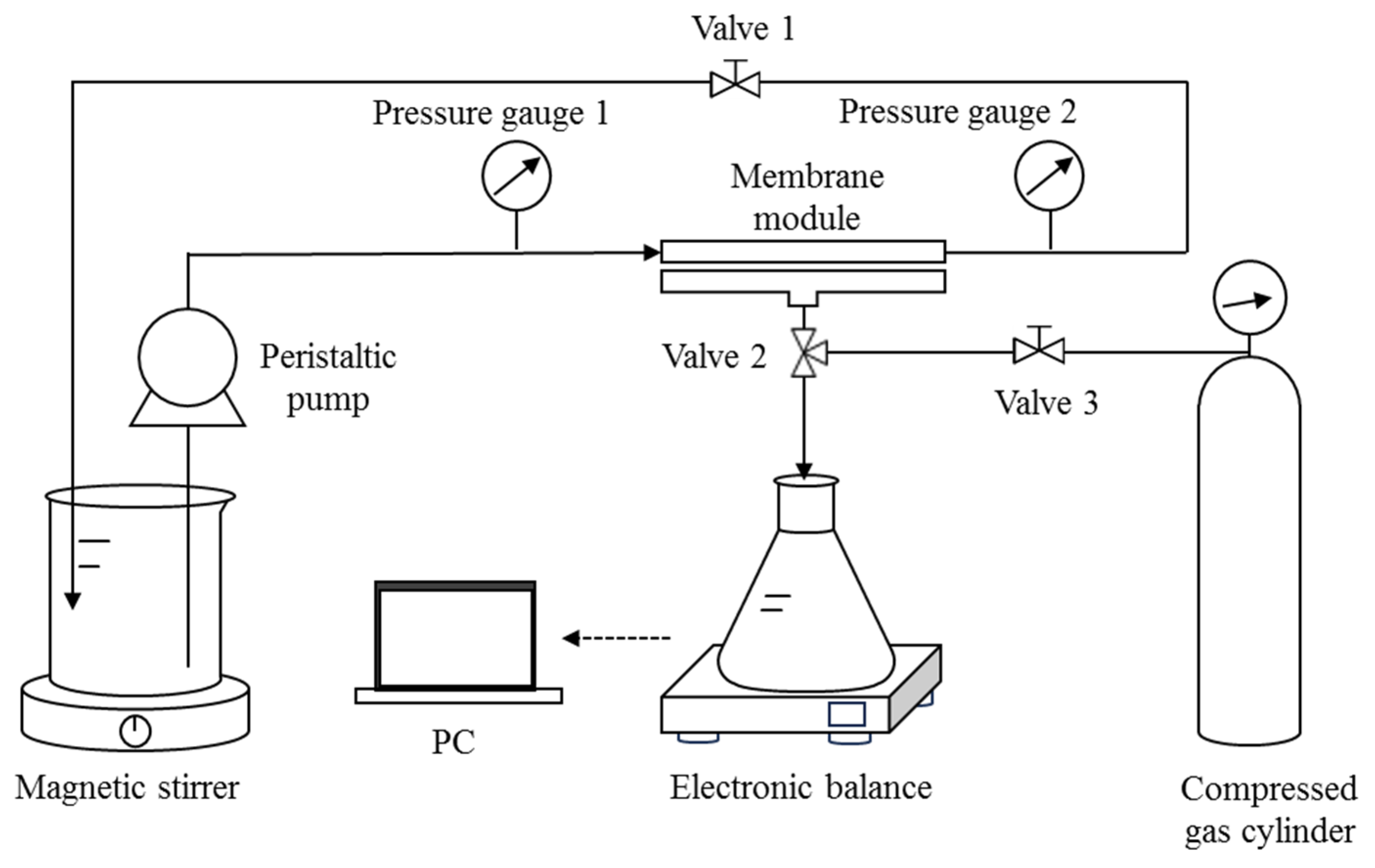 Membranes 15 00195 g002