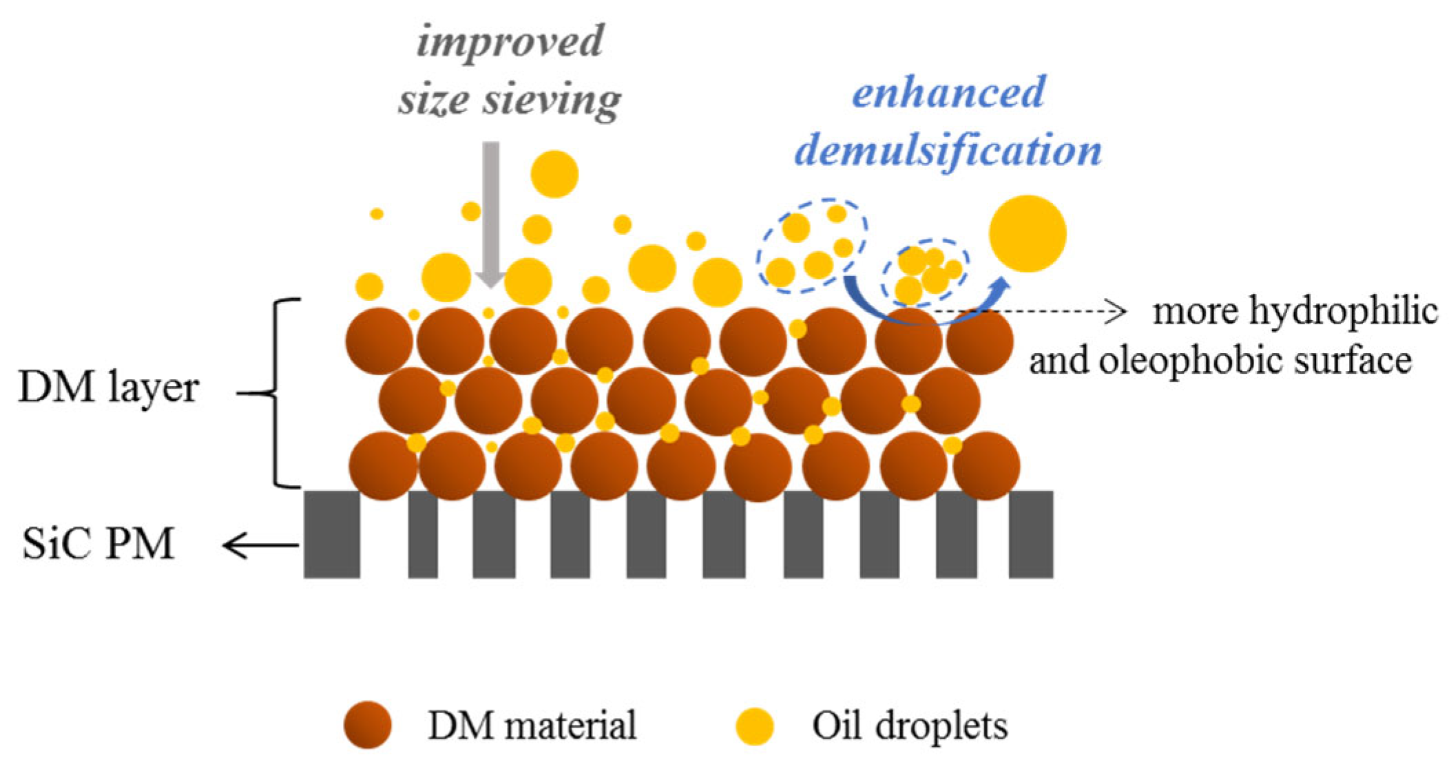 Membranes 15 00195 g006