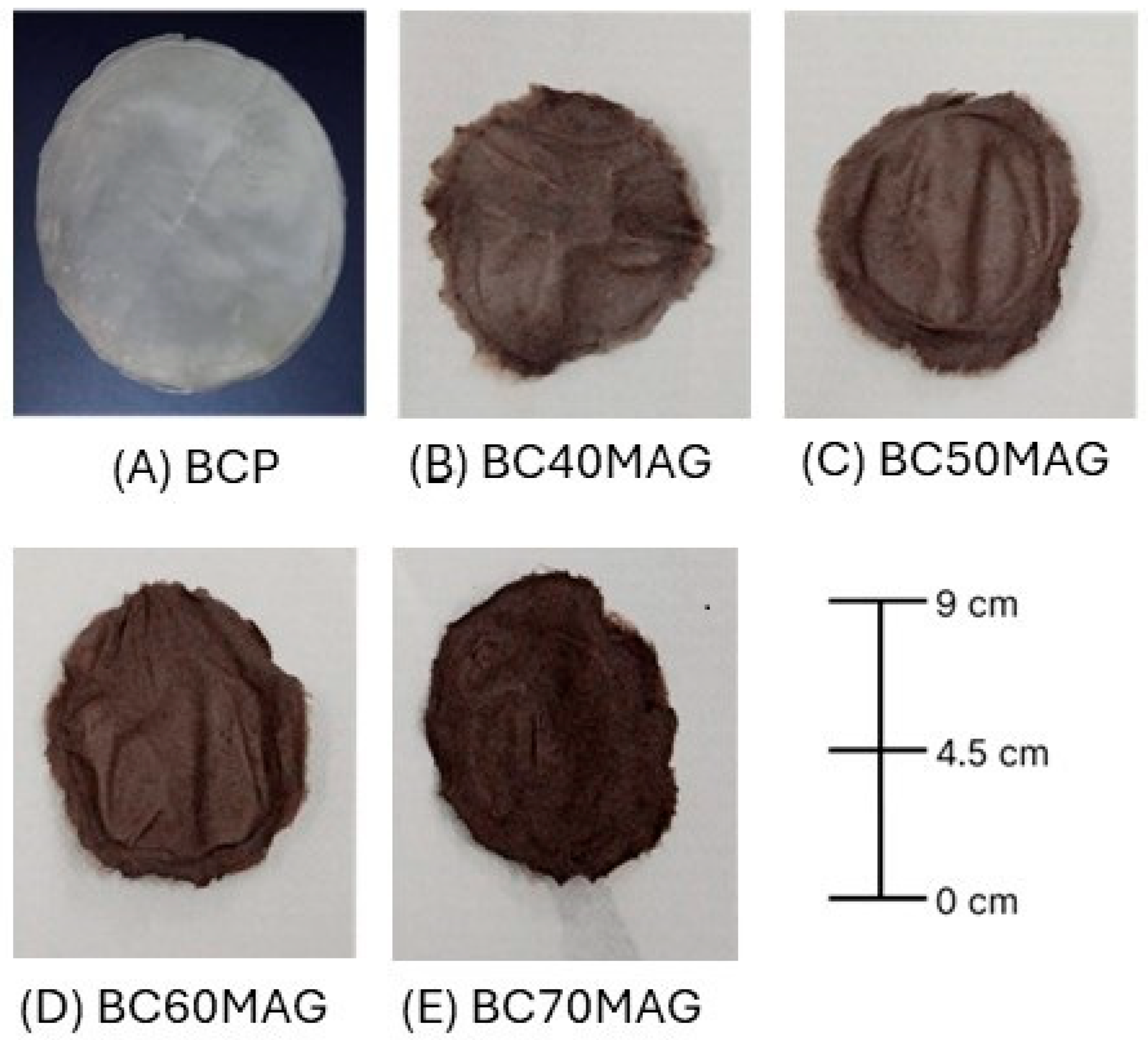 Membranes 15 00198 g001