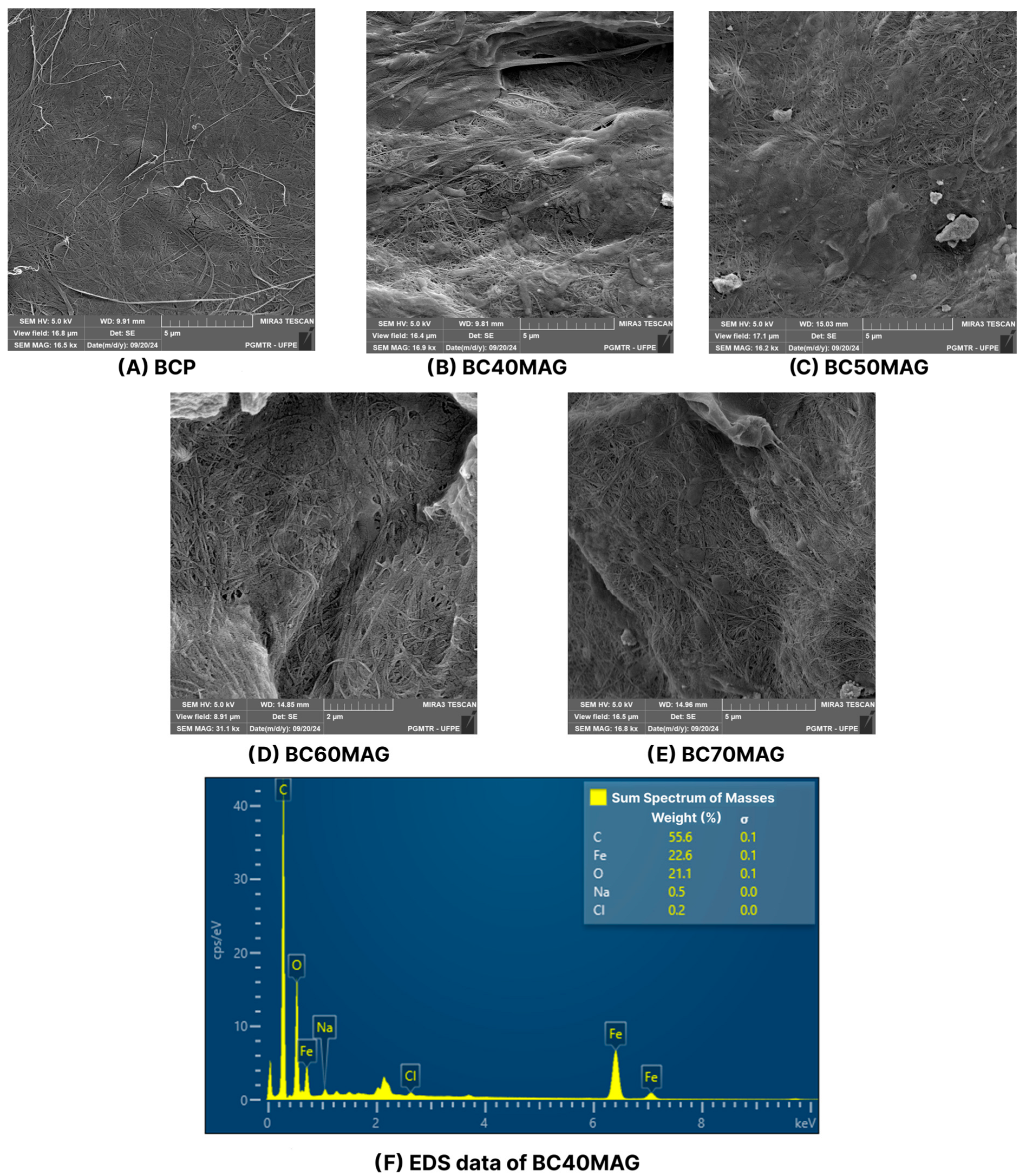 Membranes 15 00198 g004