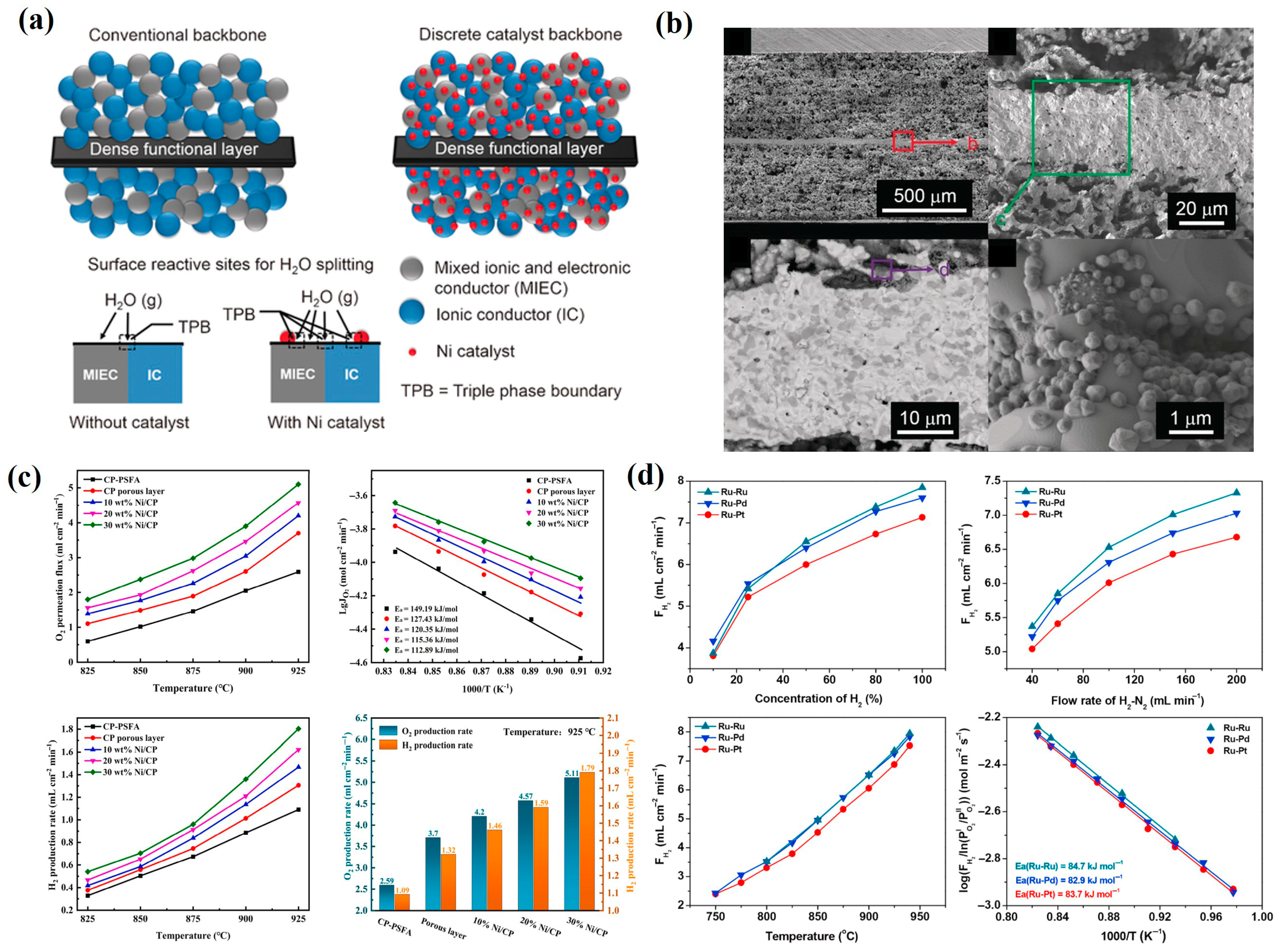 Membranes 15 00203 g008