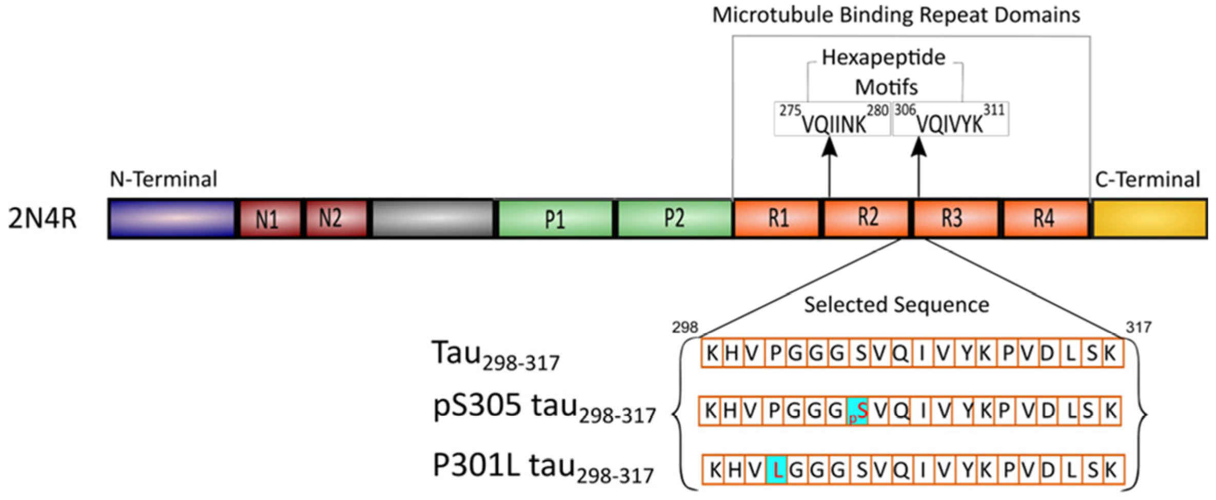 Membranes 15 00208 g001