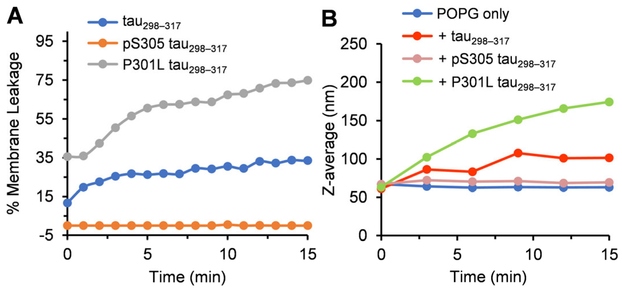 Membranes 15 00208 g004