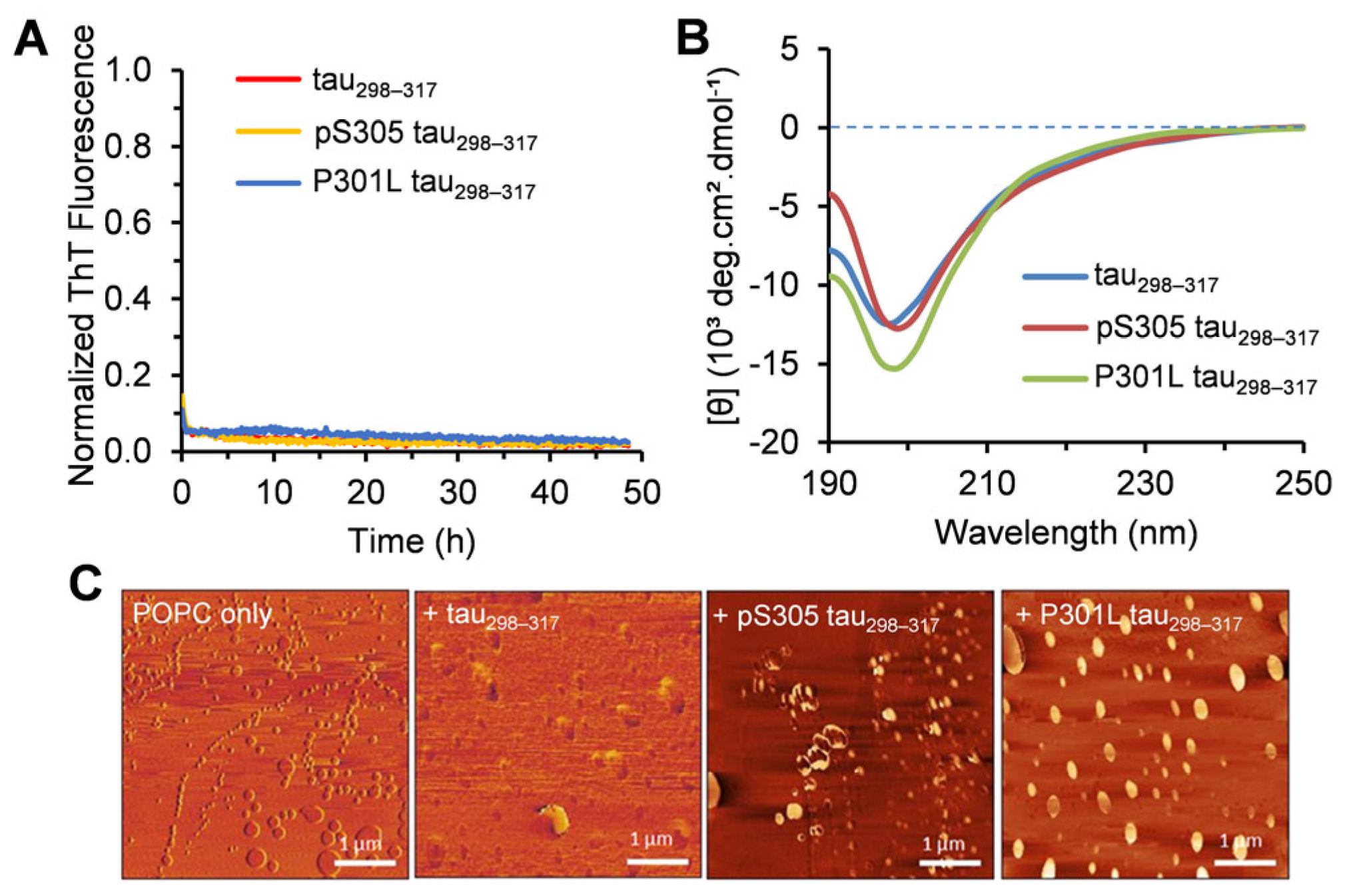 Membranes 15 00208 g005