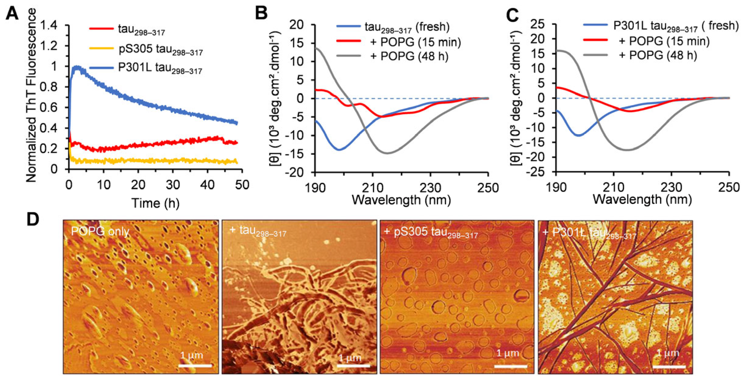 Membranes 15 00208 g006