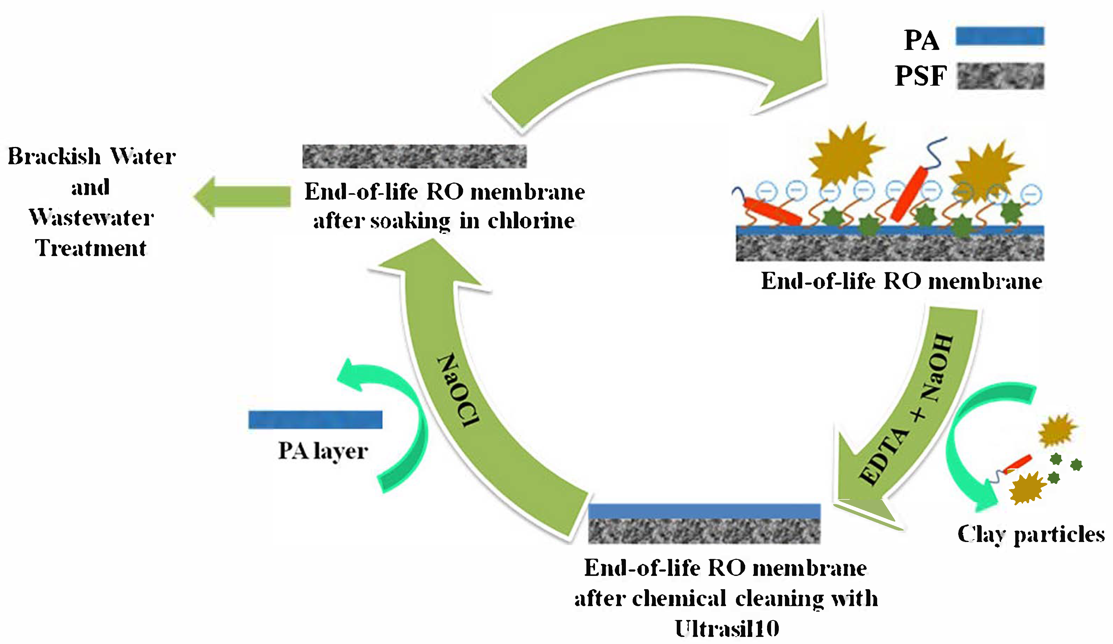 Membranes 15 00217 g001