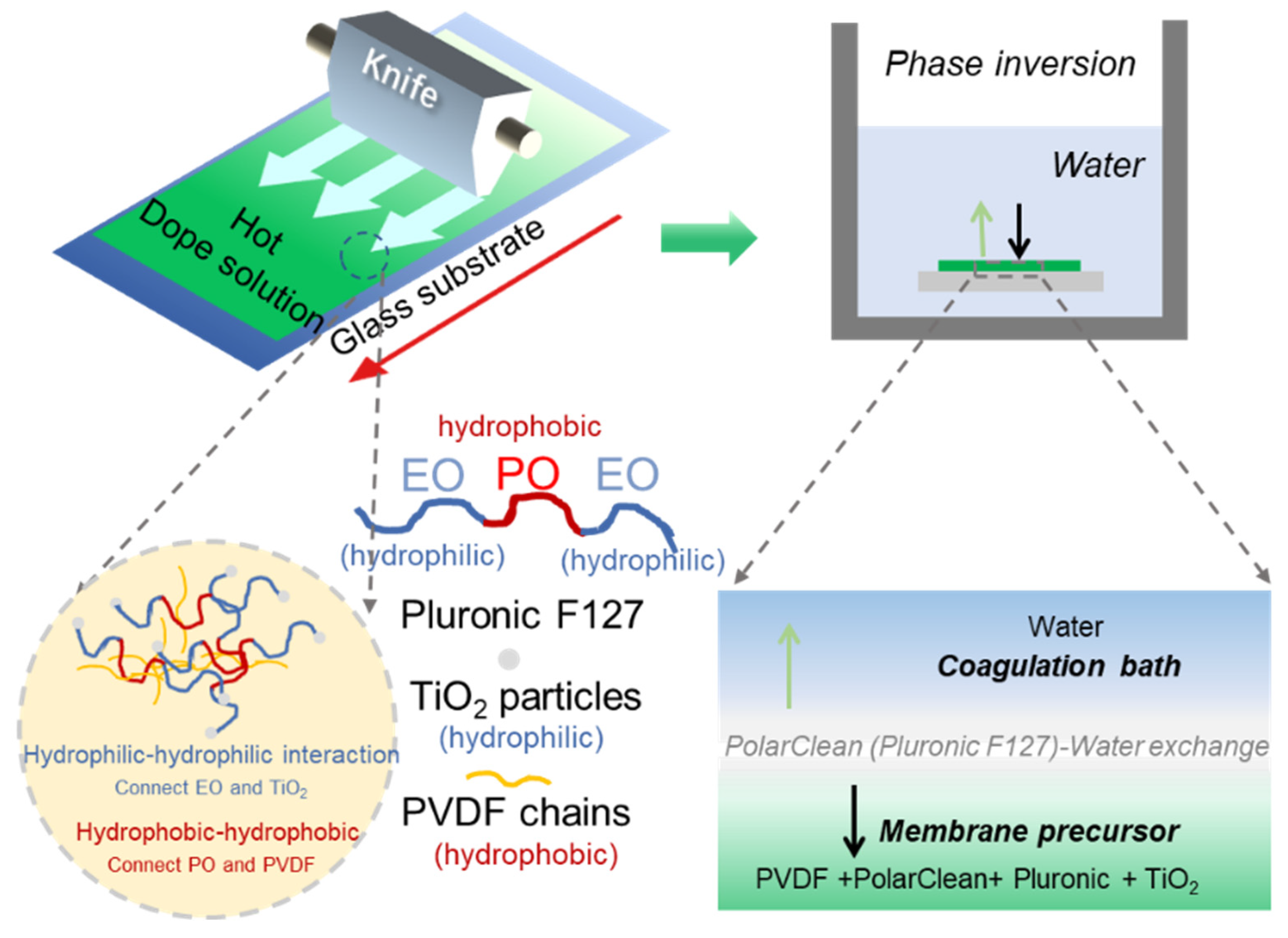 Membranes 15 00218 g001