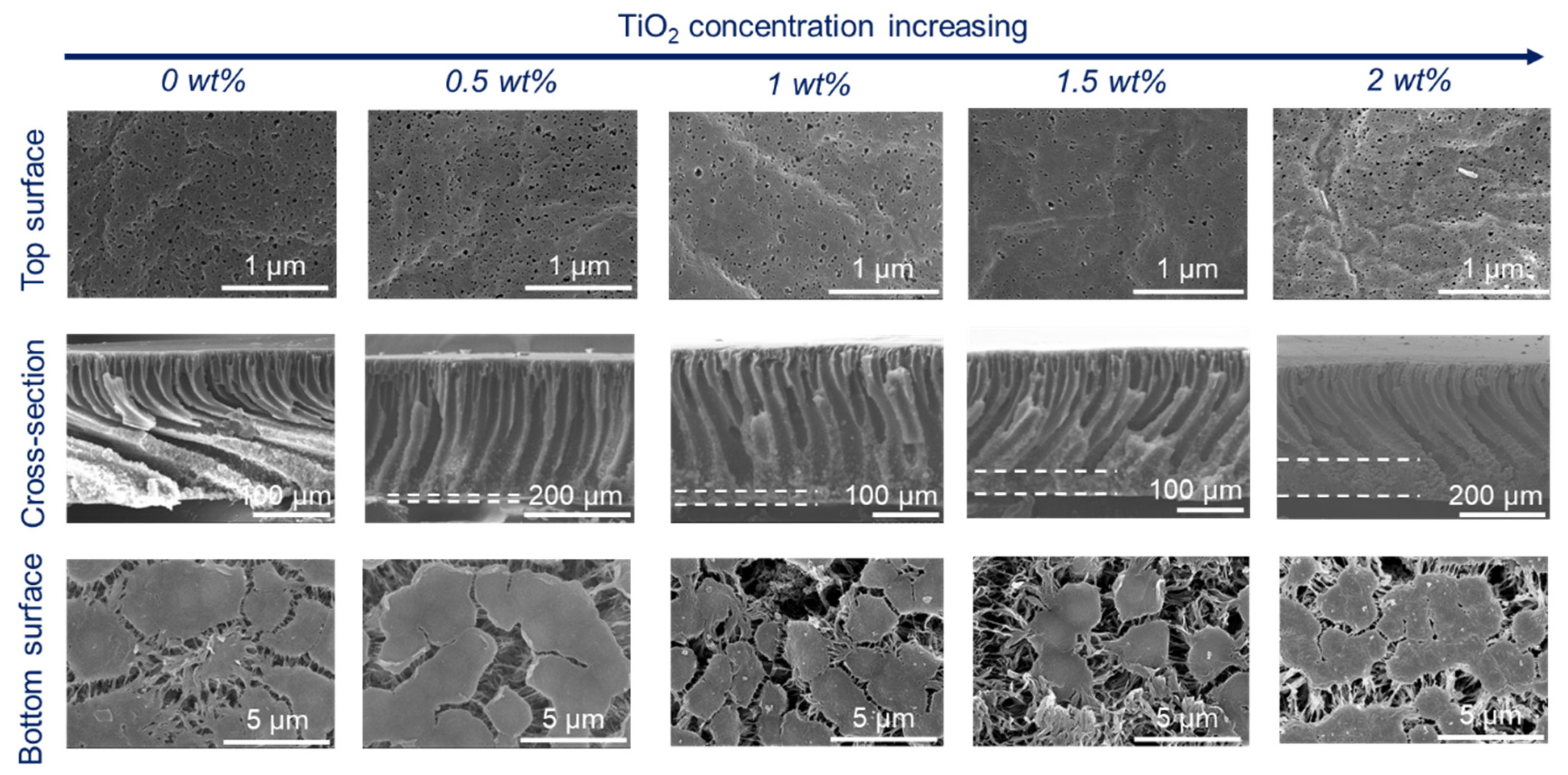 Membranes 15 00218 g002
