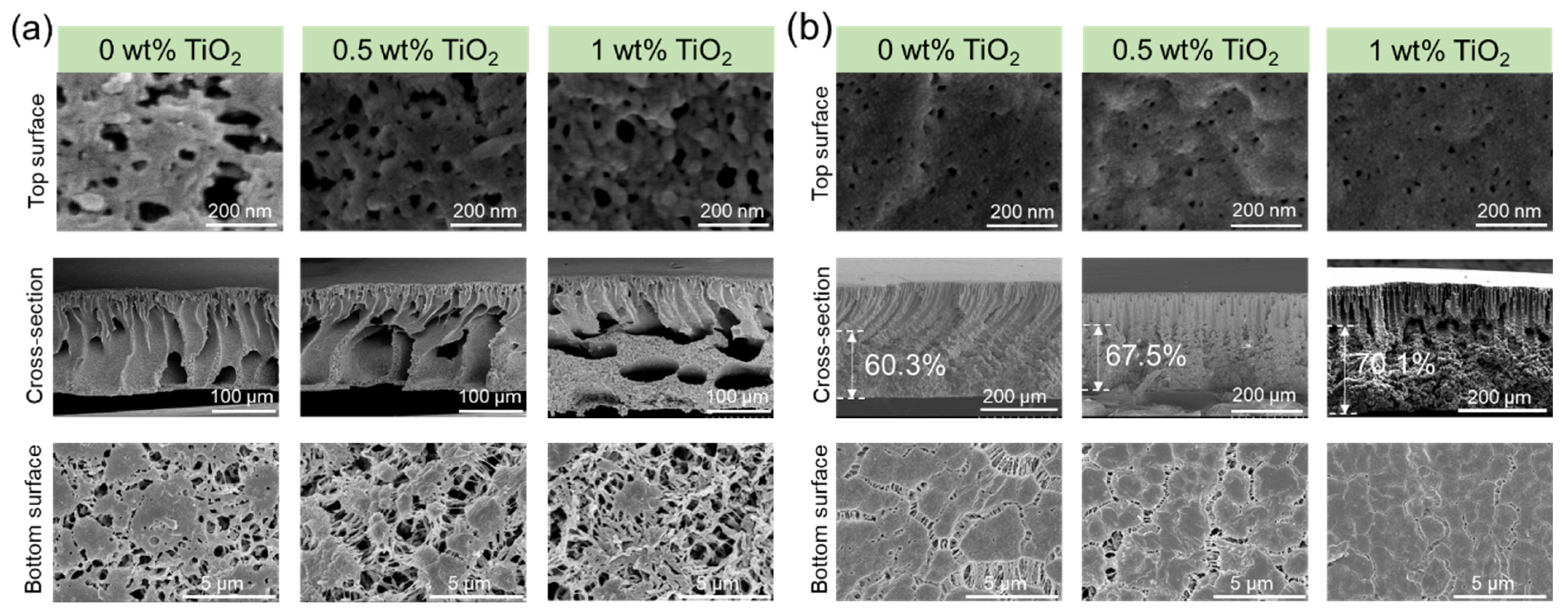 Membranes 15 00218 g006