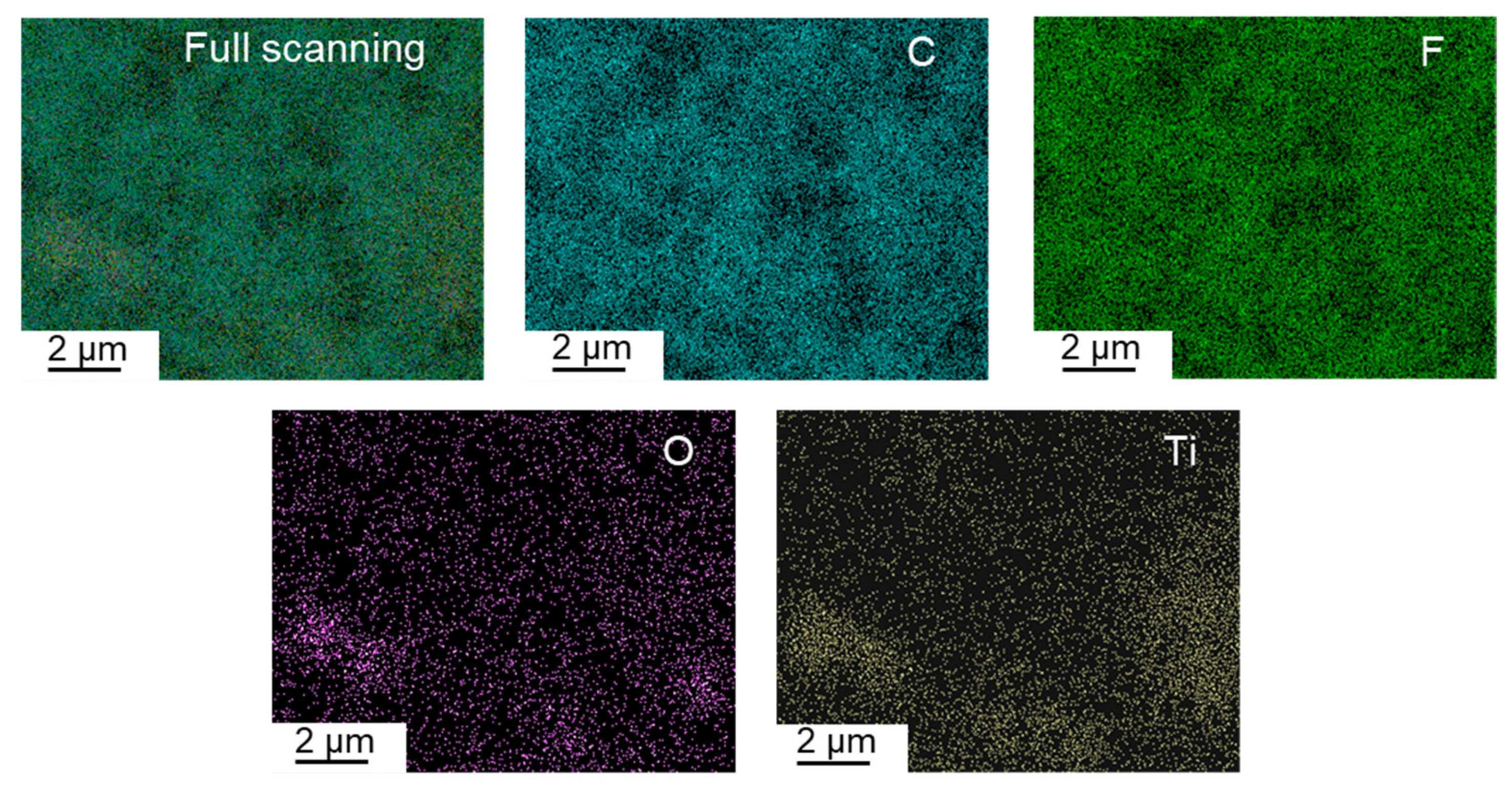 Membranes 15 00218 g007