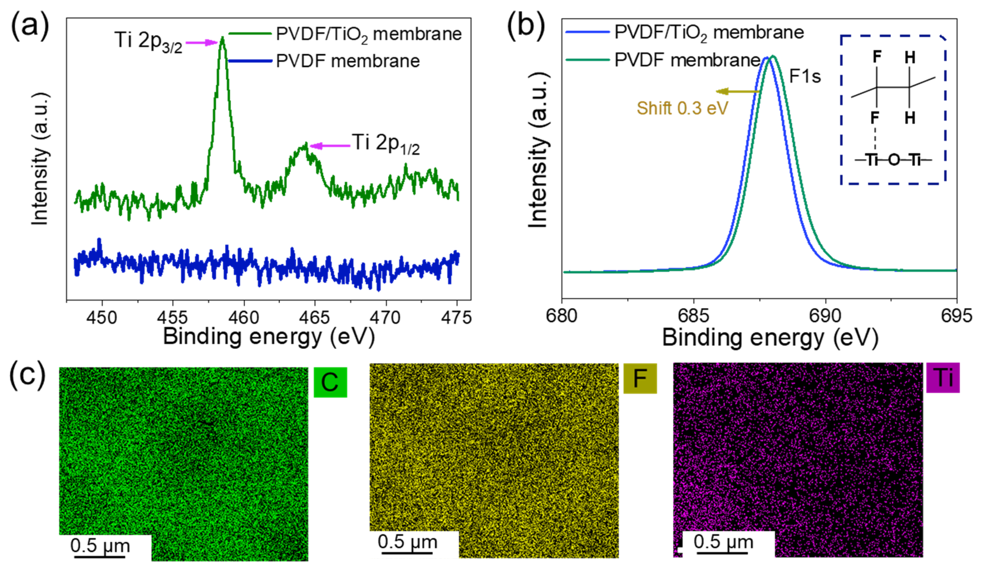 Membranes 15 00218 g008