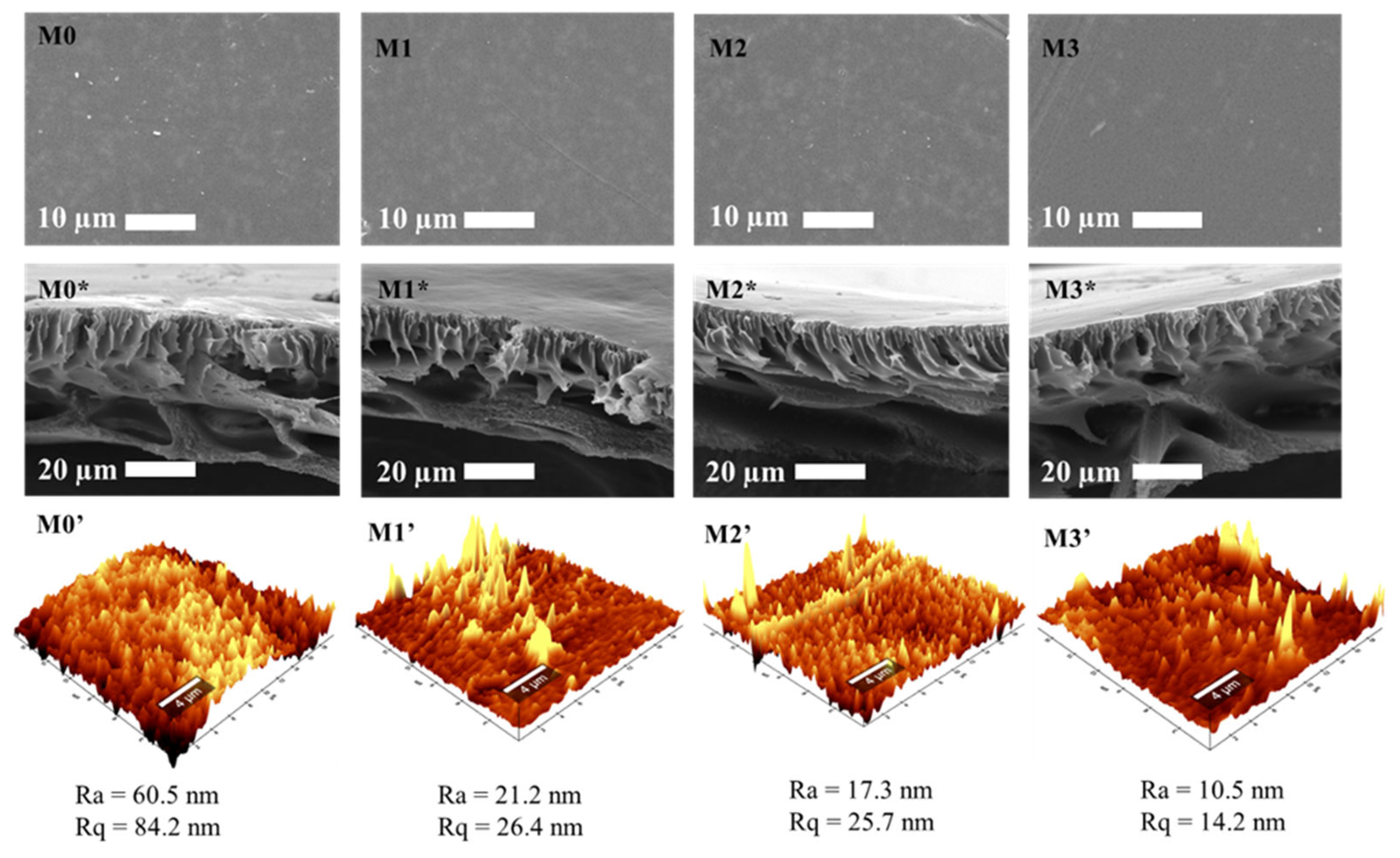Membranes 15 00239 g005