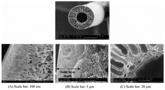 Membranes 15 00246 g003