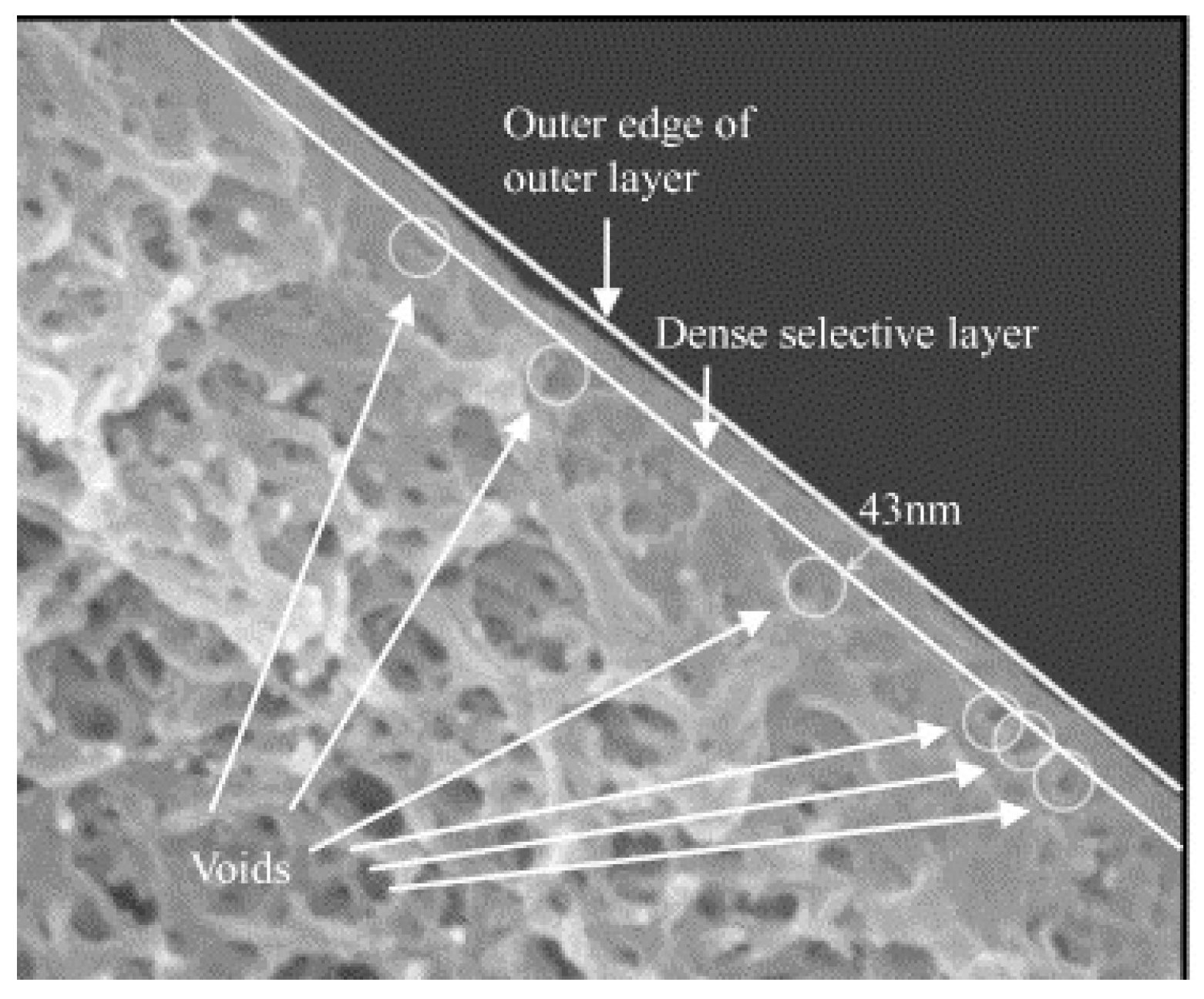 Membranes 15 00246 g010 Membranes 15 00246 g010