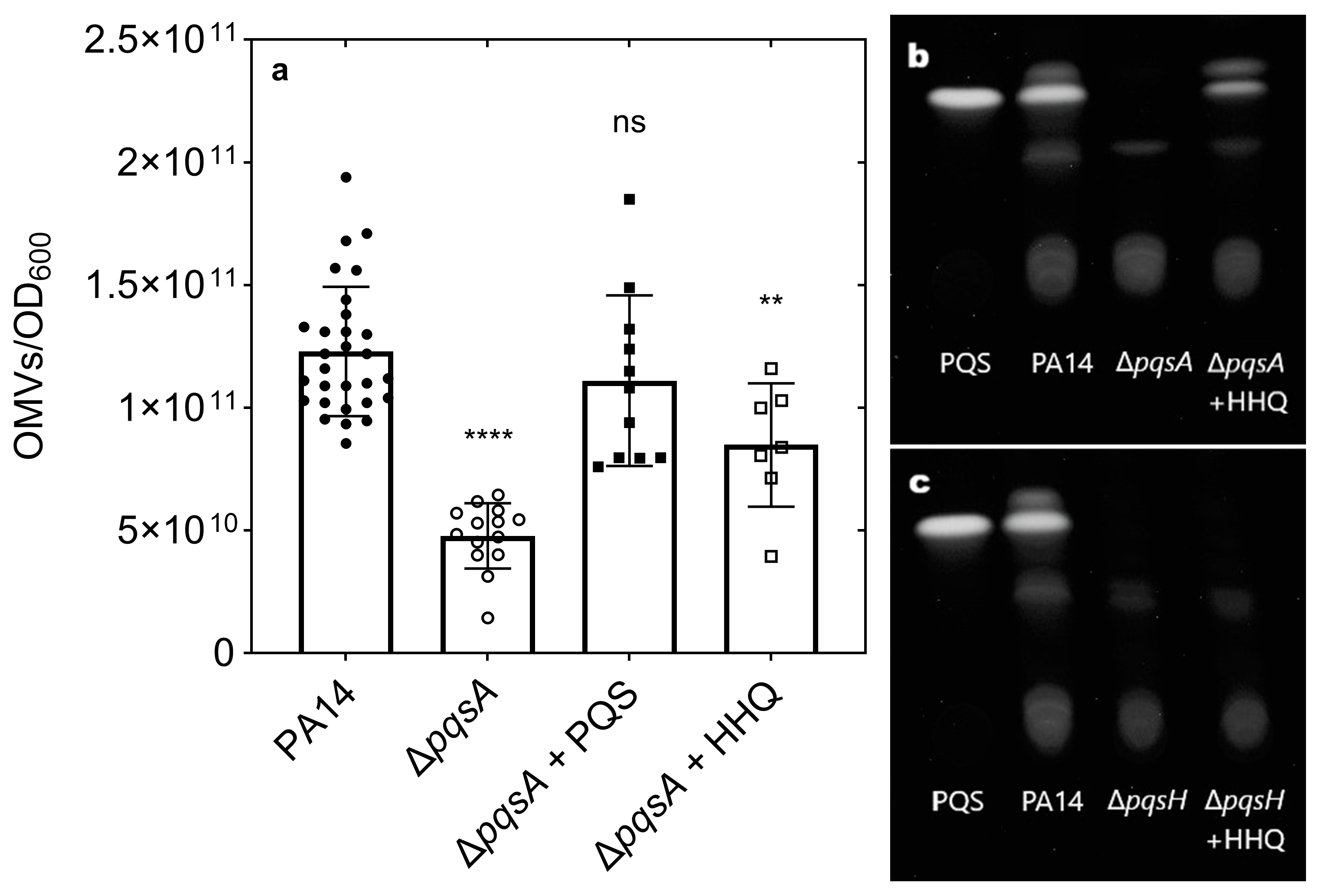 Membranes 15 00247 g002