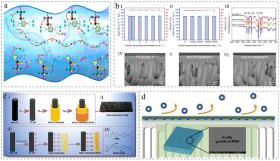 Membranes 15 00256 g005