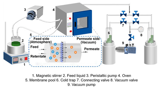 Membranes 15 00261 g001