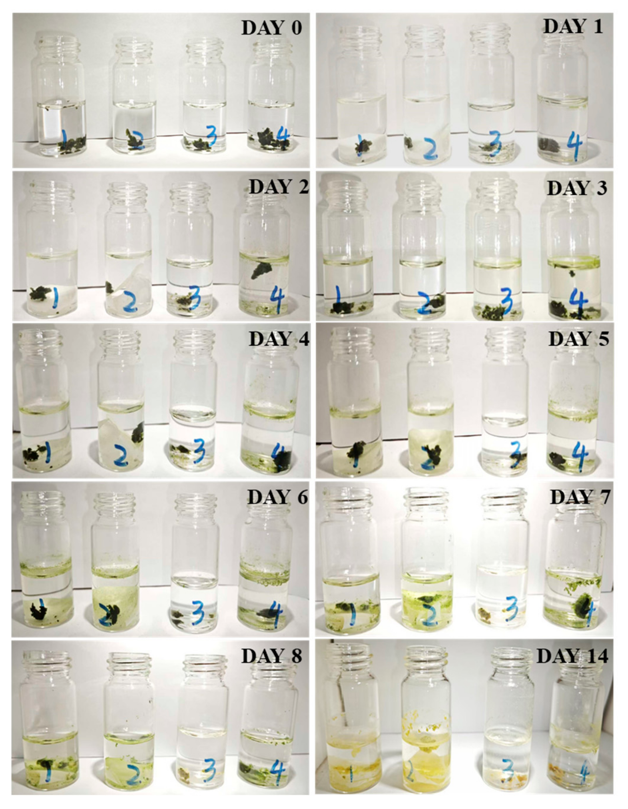 Membranes 15 00262 g016