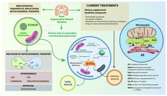 Membranes 15 00263 g004