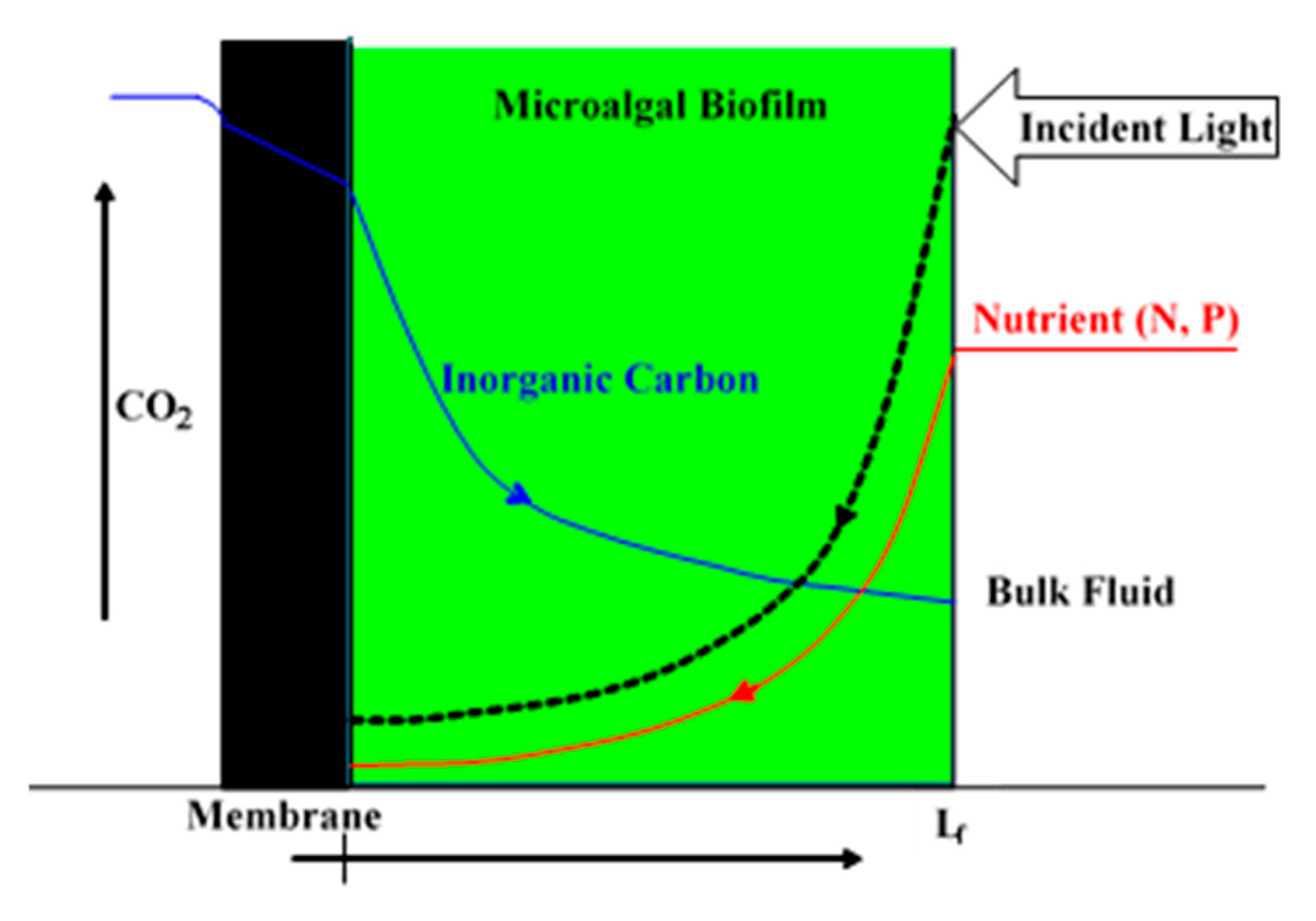 Membranes 15 00269 g001