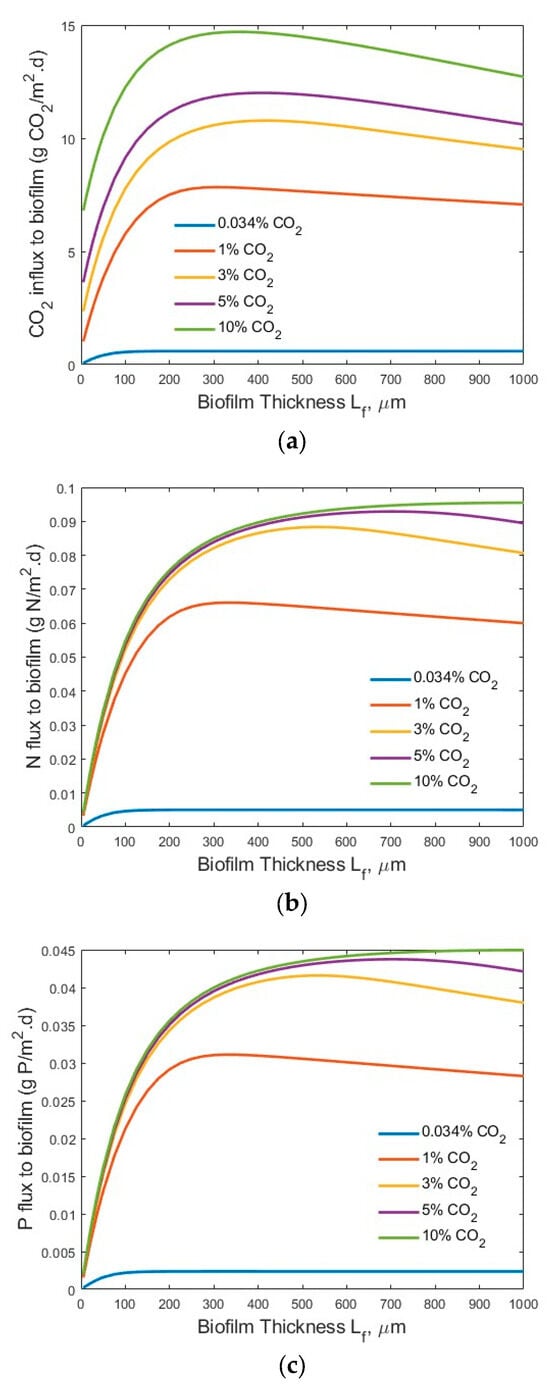 Membranes 15 00269 g006