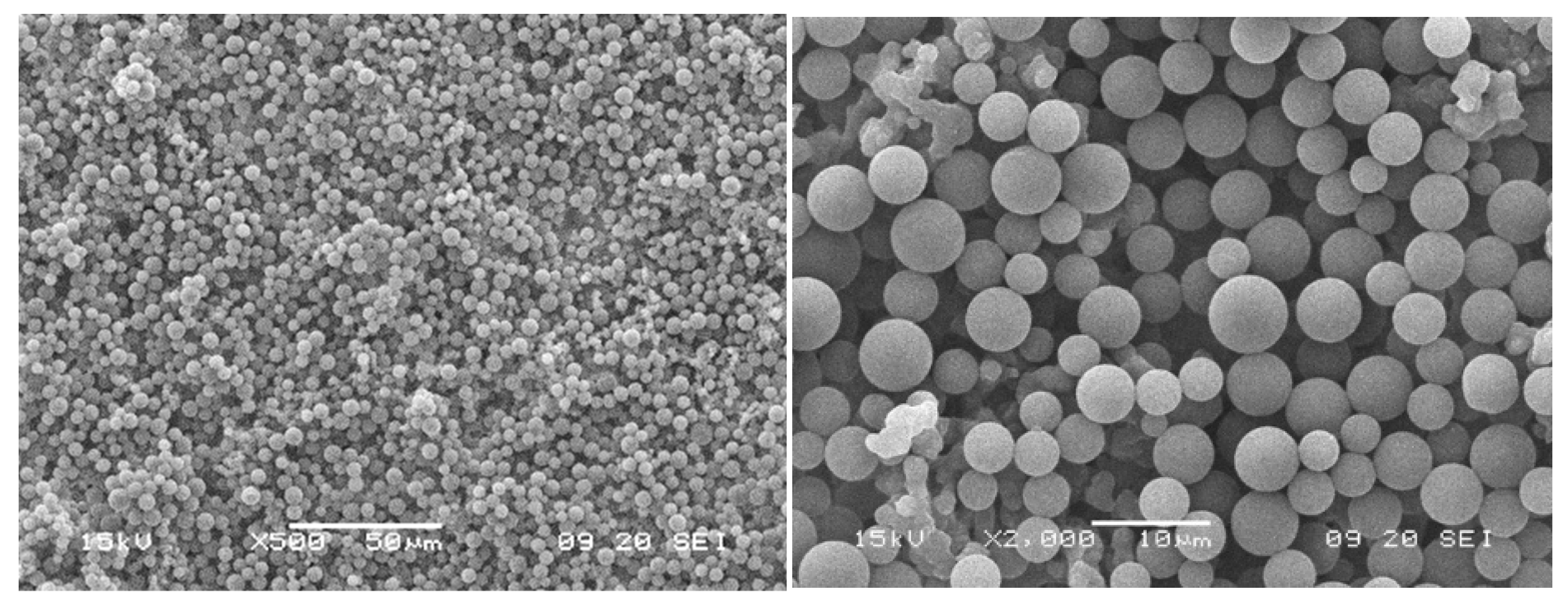 Membranes 15 00272 g014a