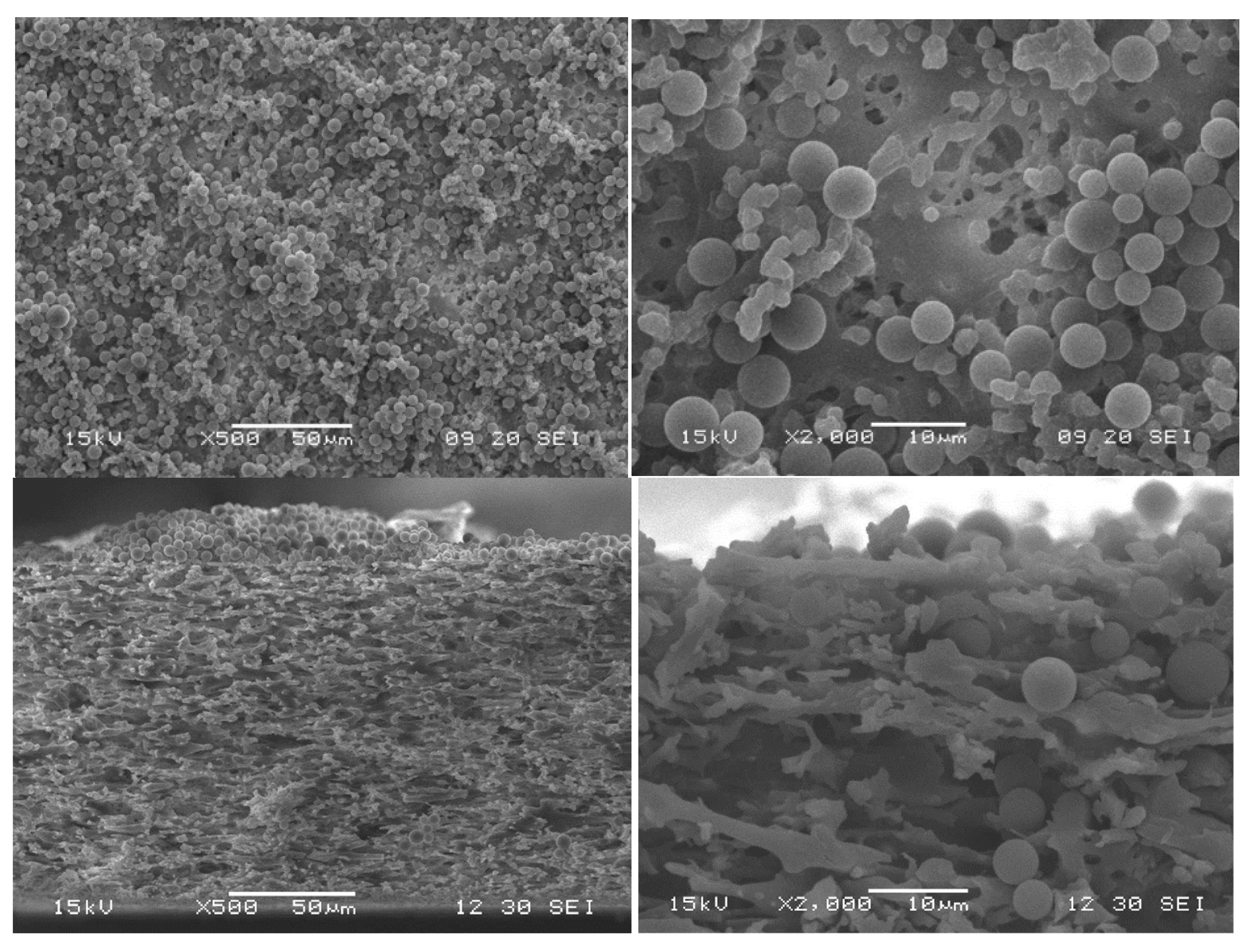 Membranes 15 00272 g015