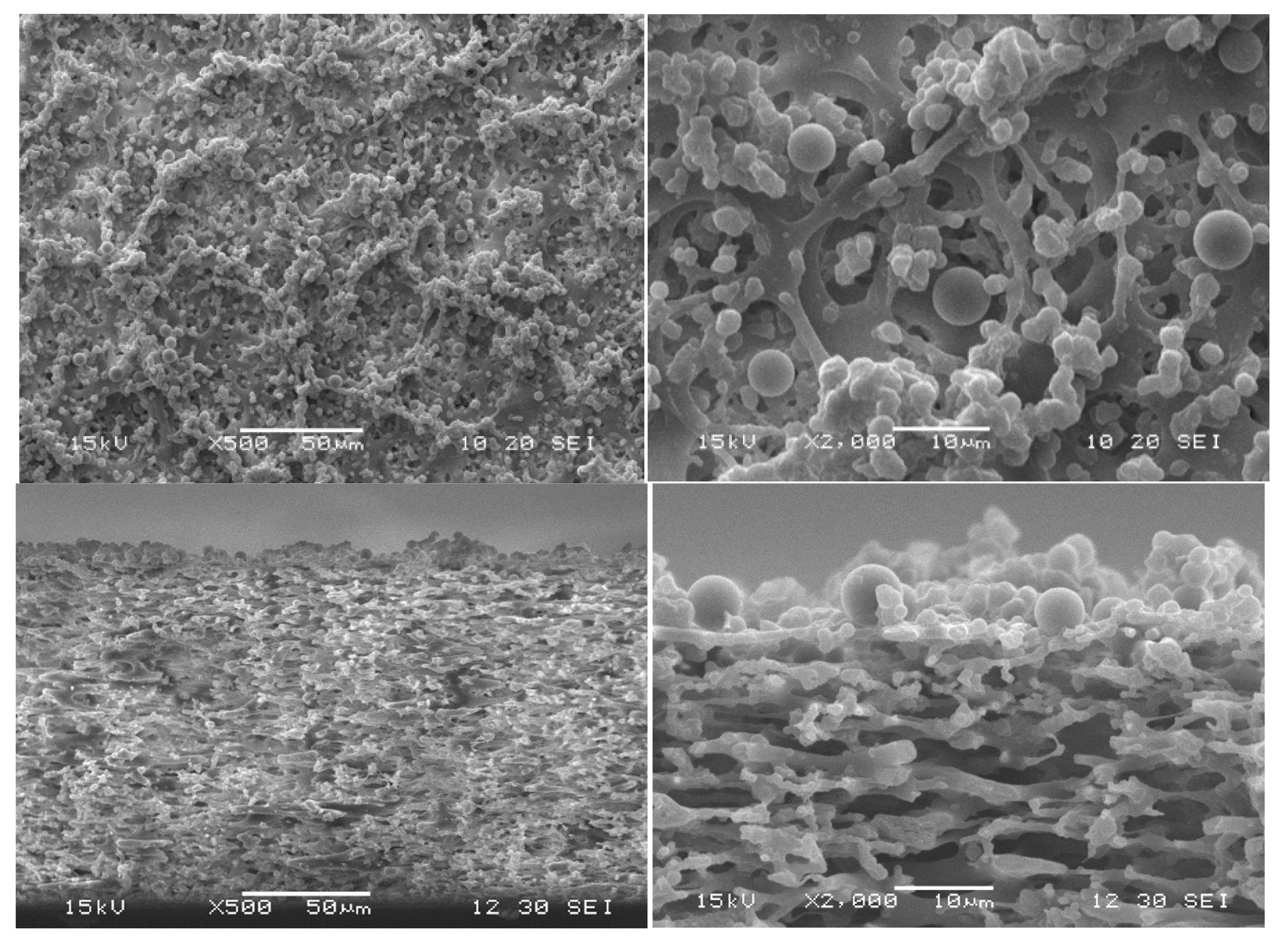 Membranes 15 00272 g016