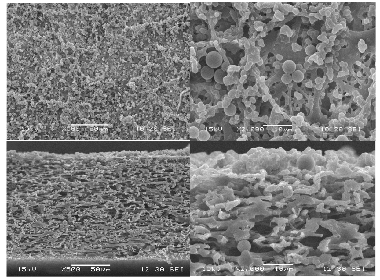 Membranes 15 00272 g017