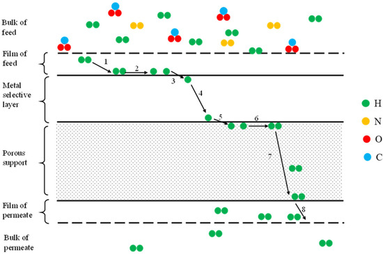 Membranes 15 00273 g002