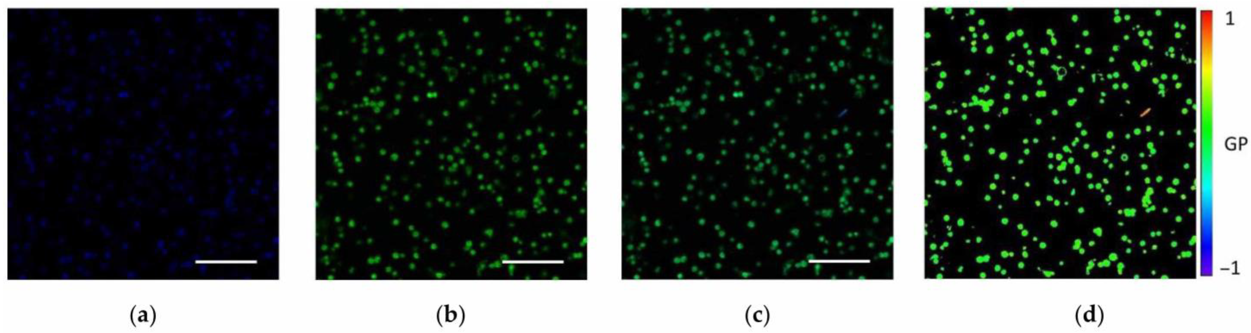Membranes 15 00302 g001