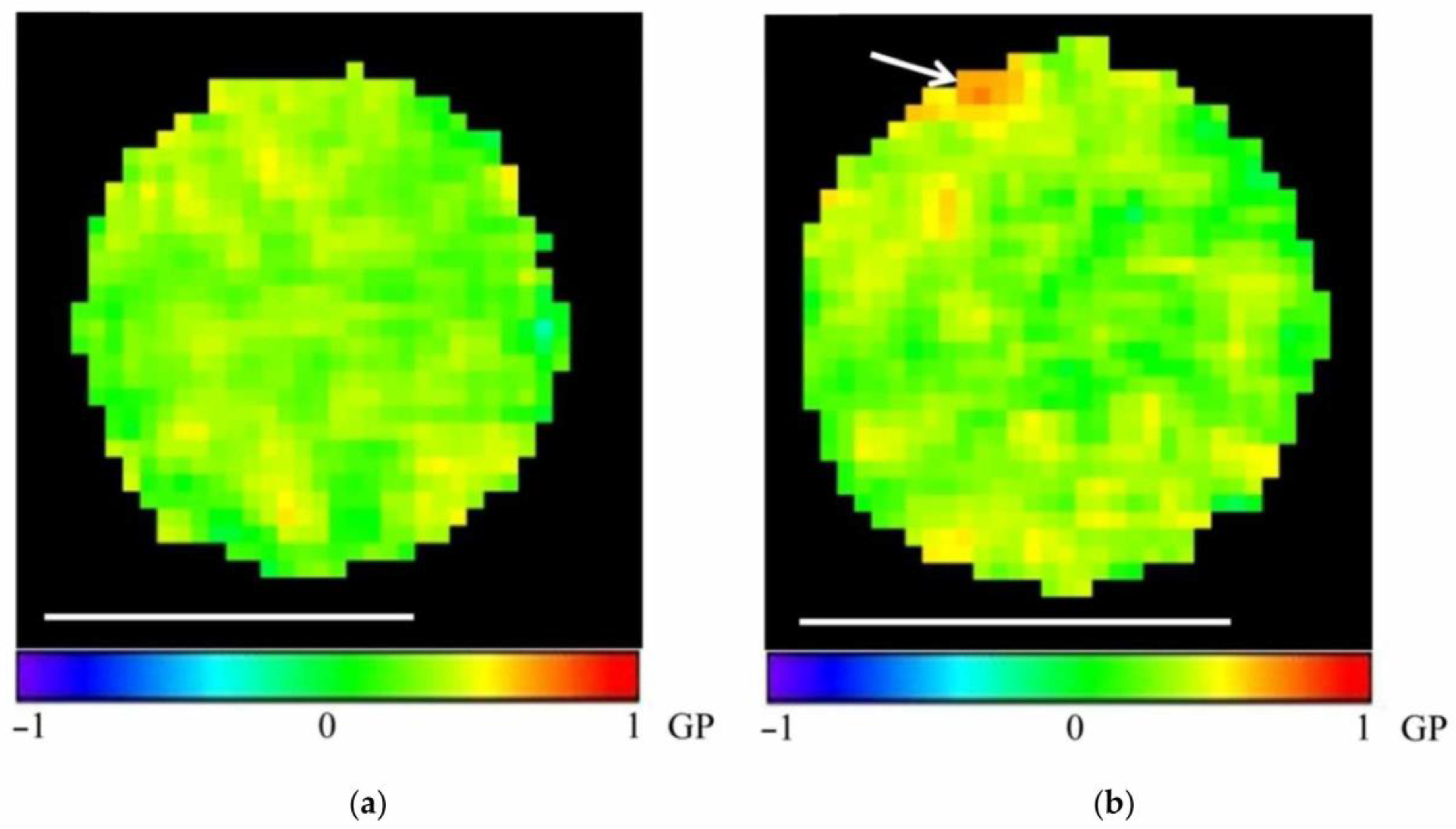 Membranes 15 00302 g006