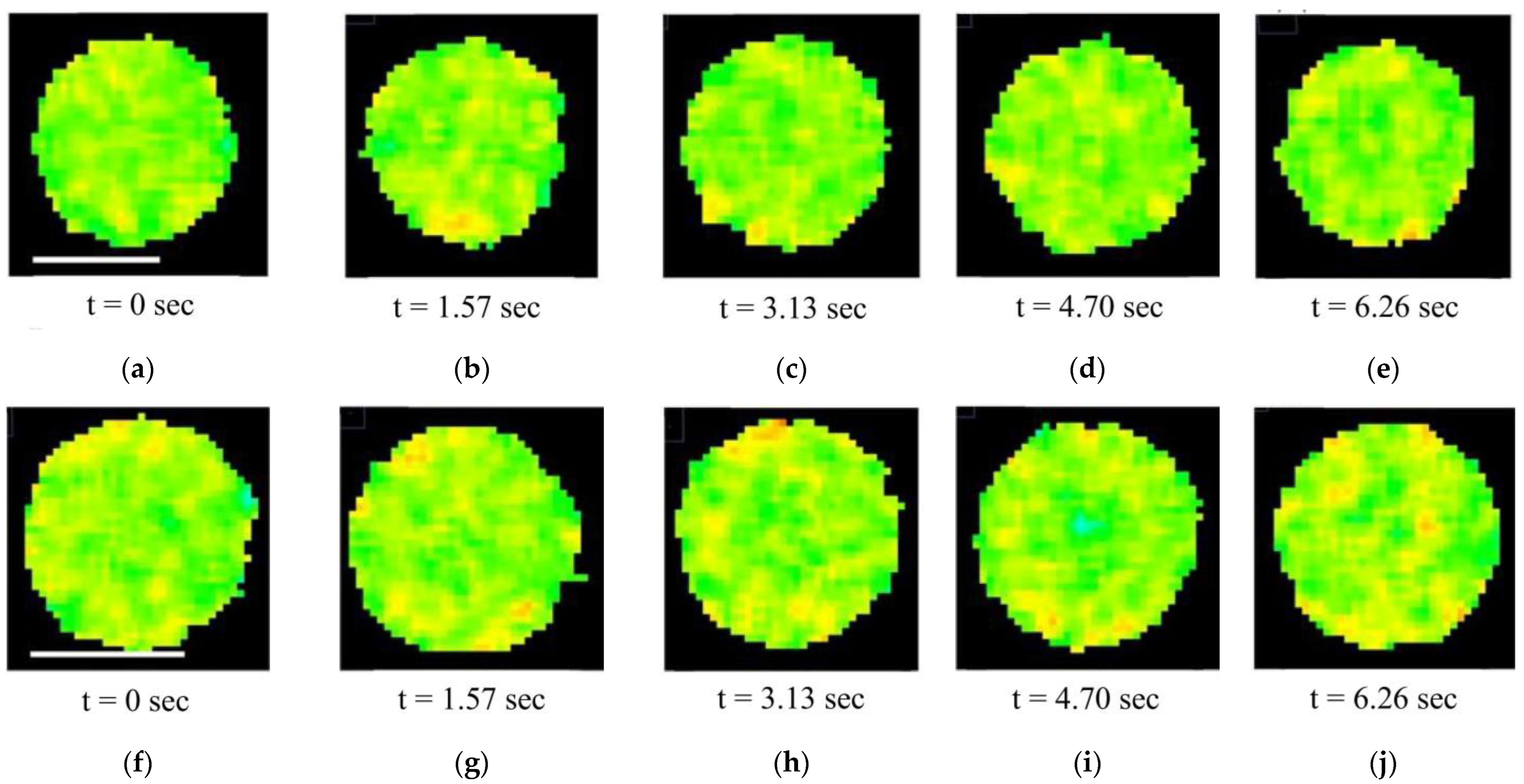 Membranes 15 00302 g007