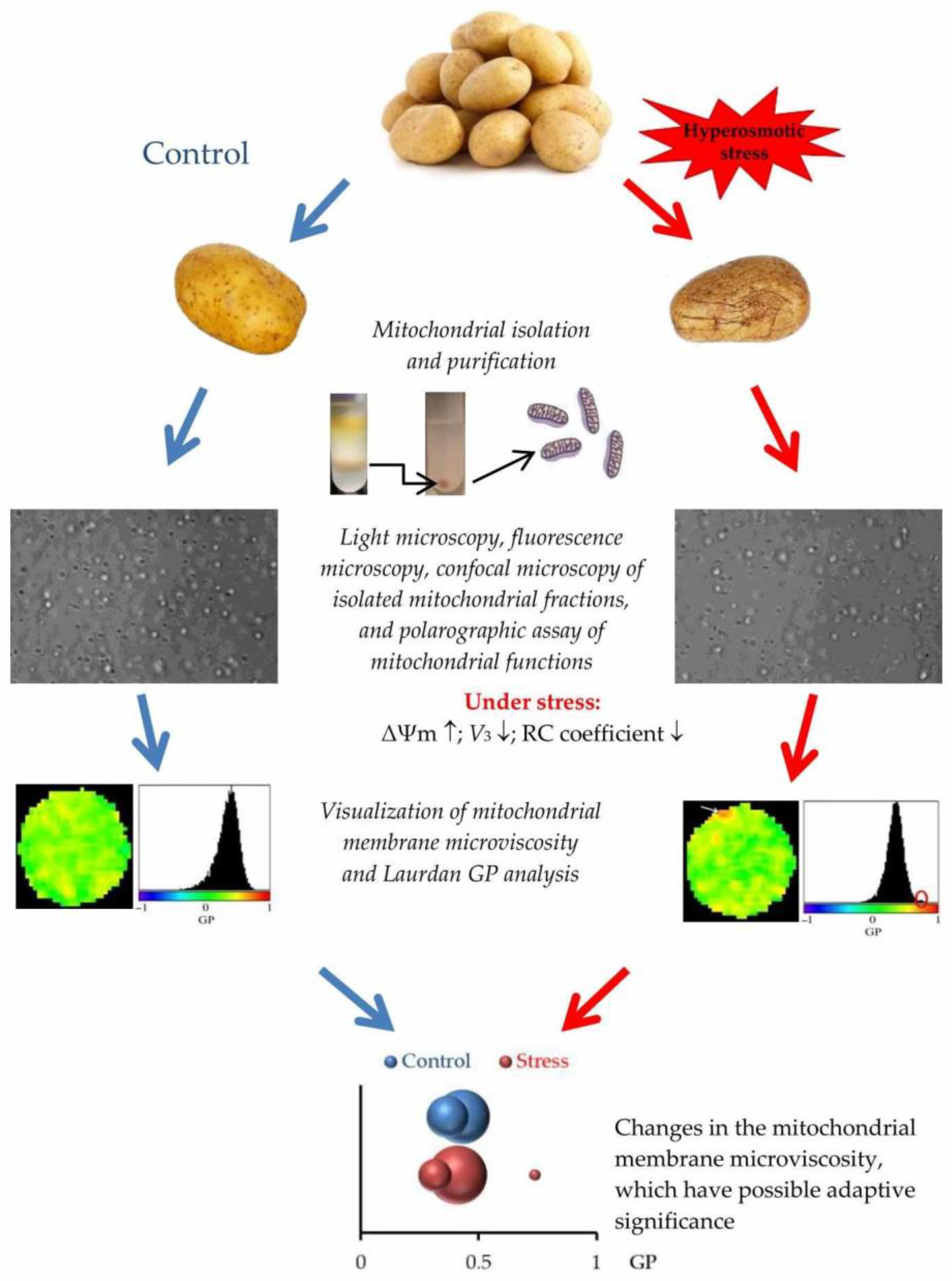Membranes 15 00302 g009
