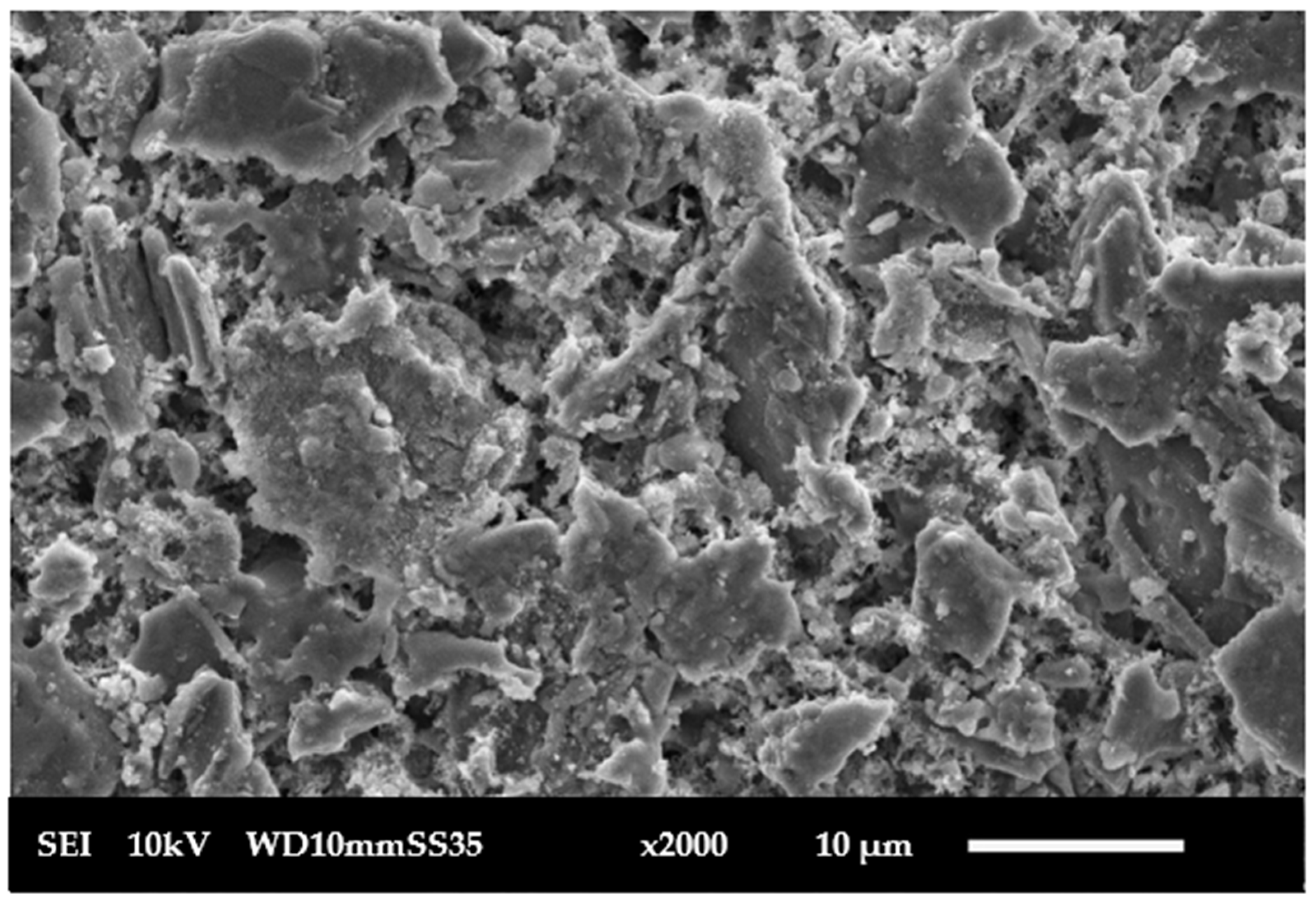 Membranes 15 00307 g006